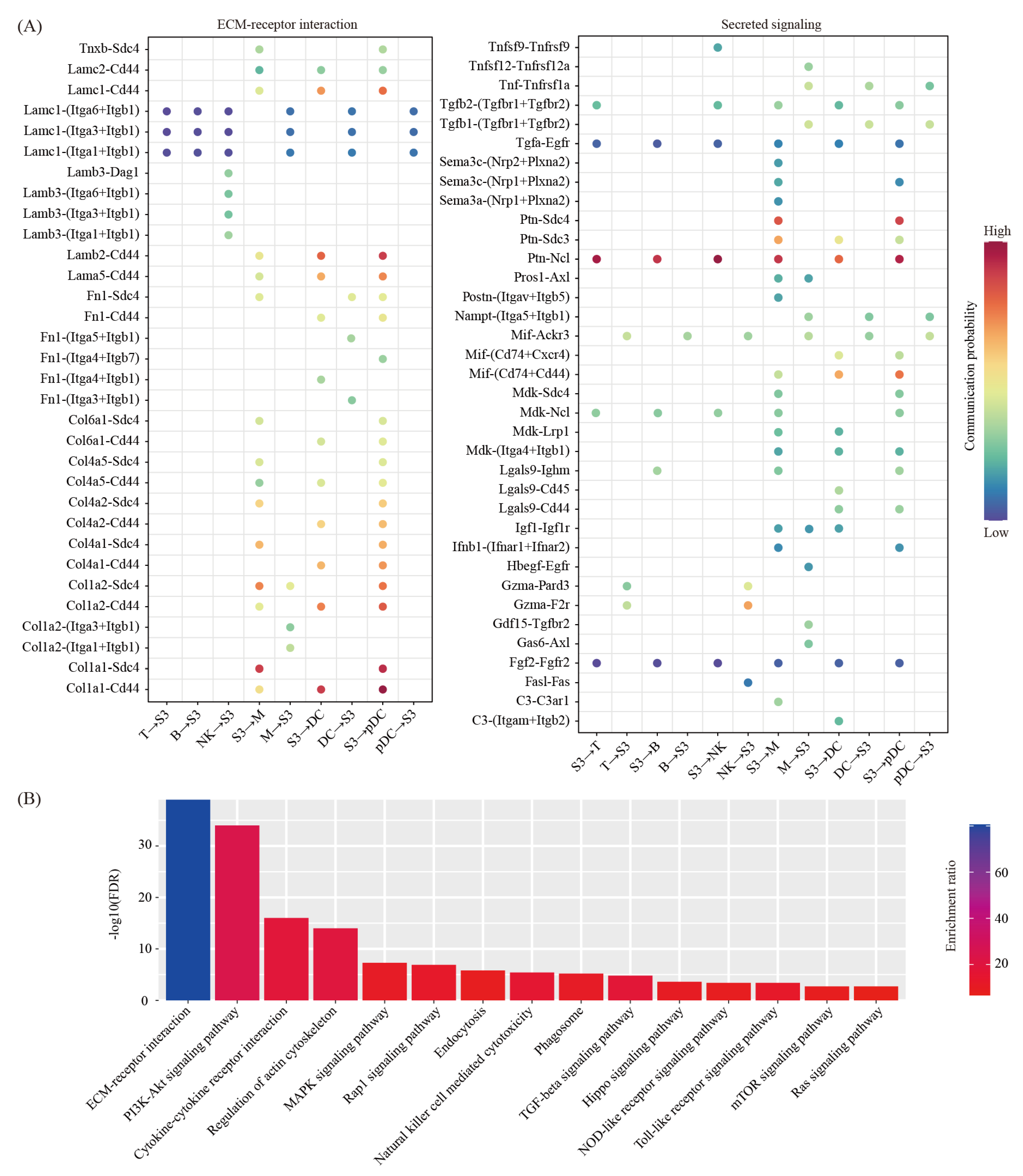 Ijms 22 07696 g005 Ijms 22 07696 g005