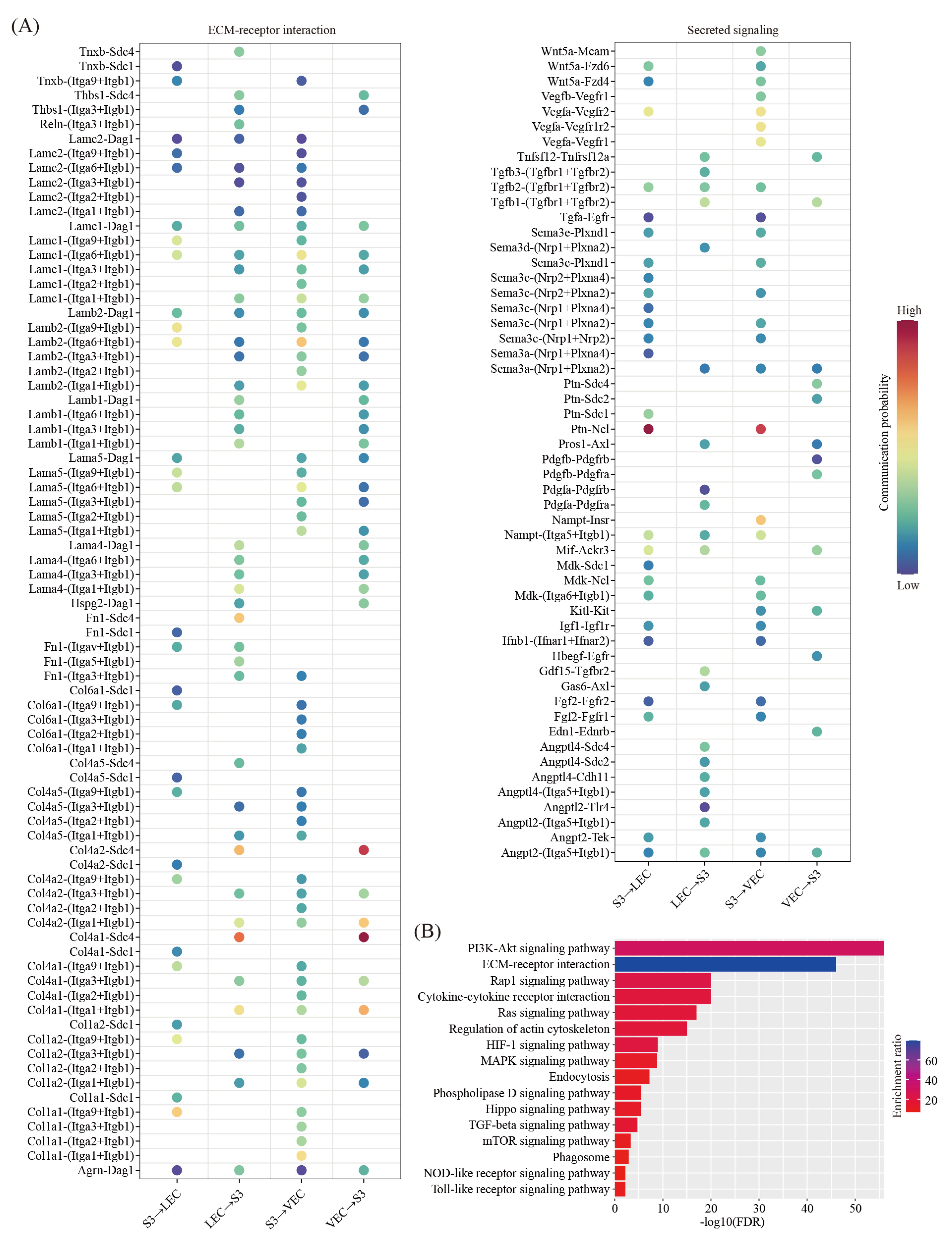 Ijms 22 07696 g007 Ijms 22 07696 g007