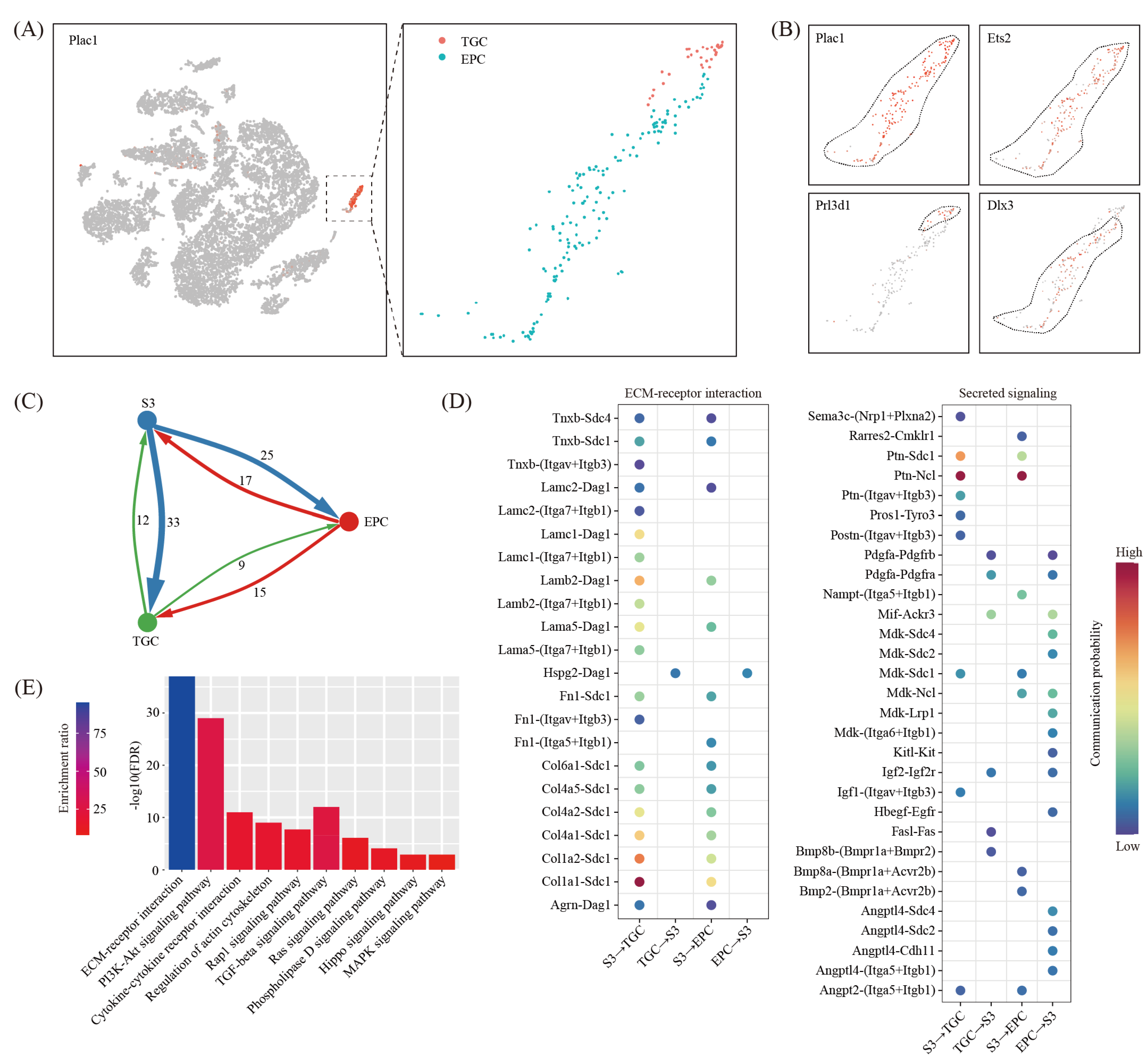 Ijms 22 07696 g008 Ijms 22 07696 g008