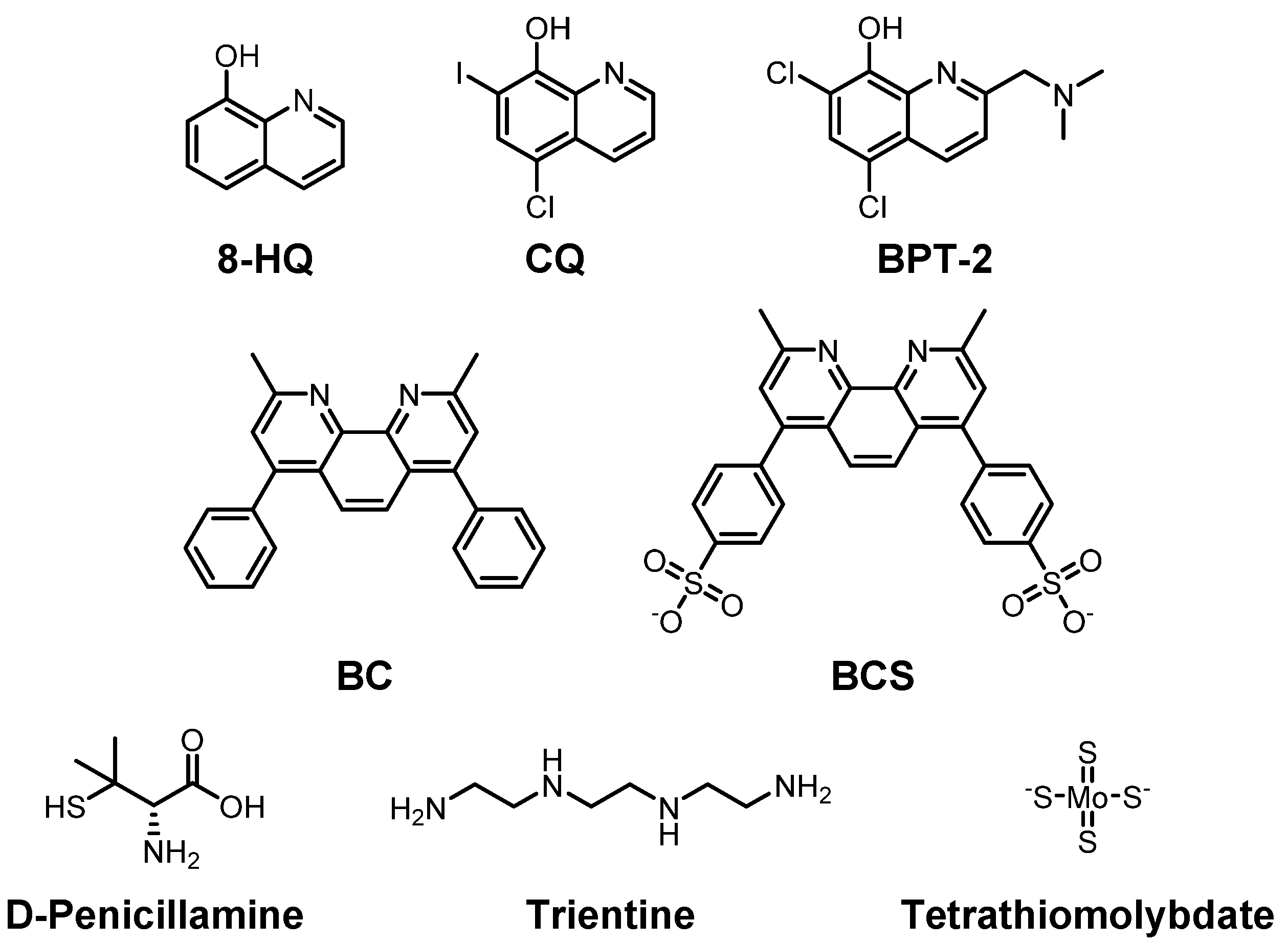Ijms 22 07697 g002 Ijms 22 07697 g002