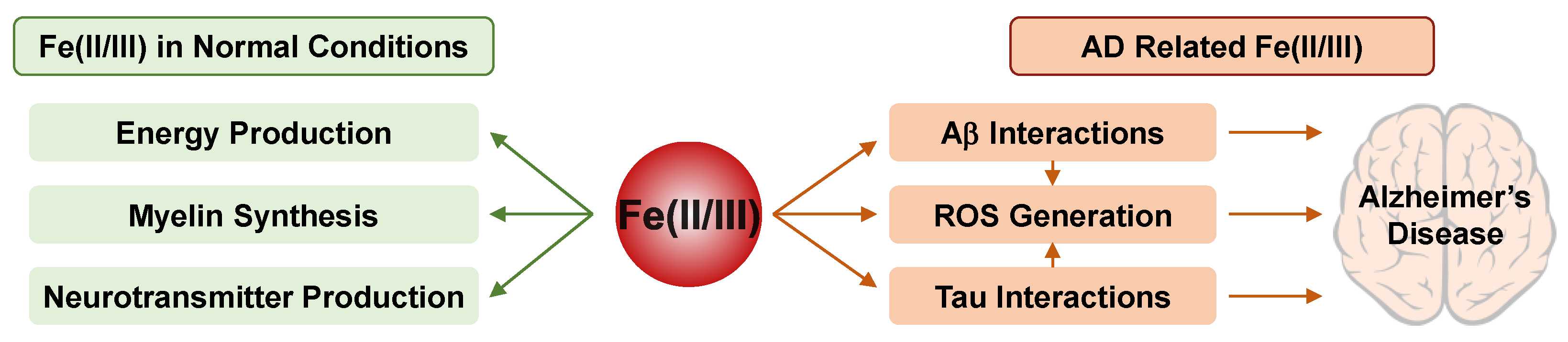 Ijms 22 07697 g003 Ijms 22 07697 g003