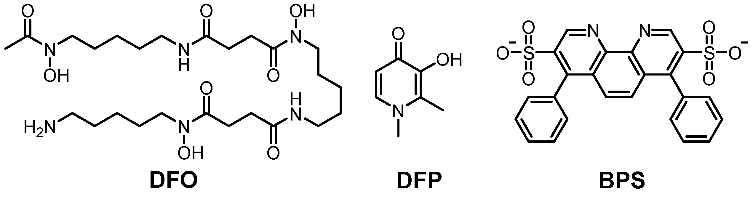 Ijms 22 07697 g004 Ijms 22 07697 g004