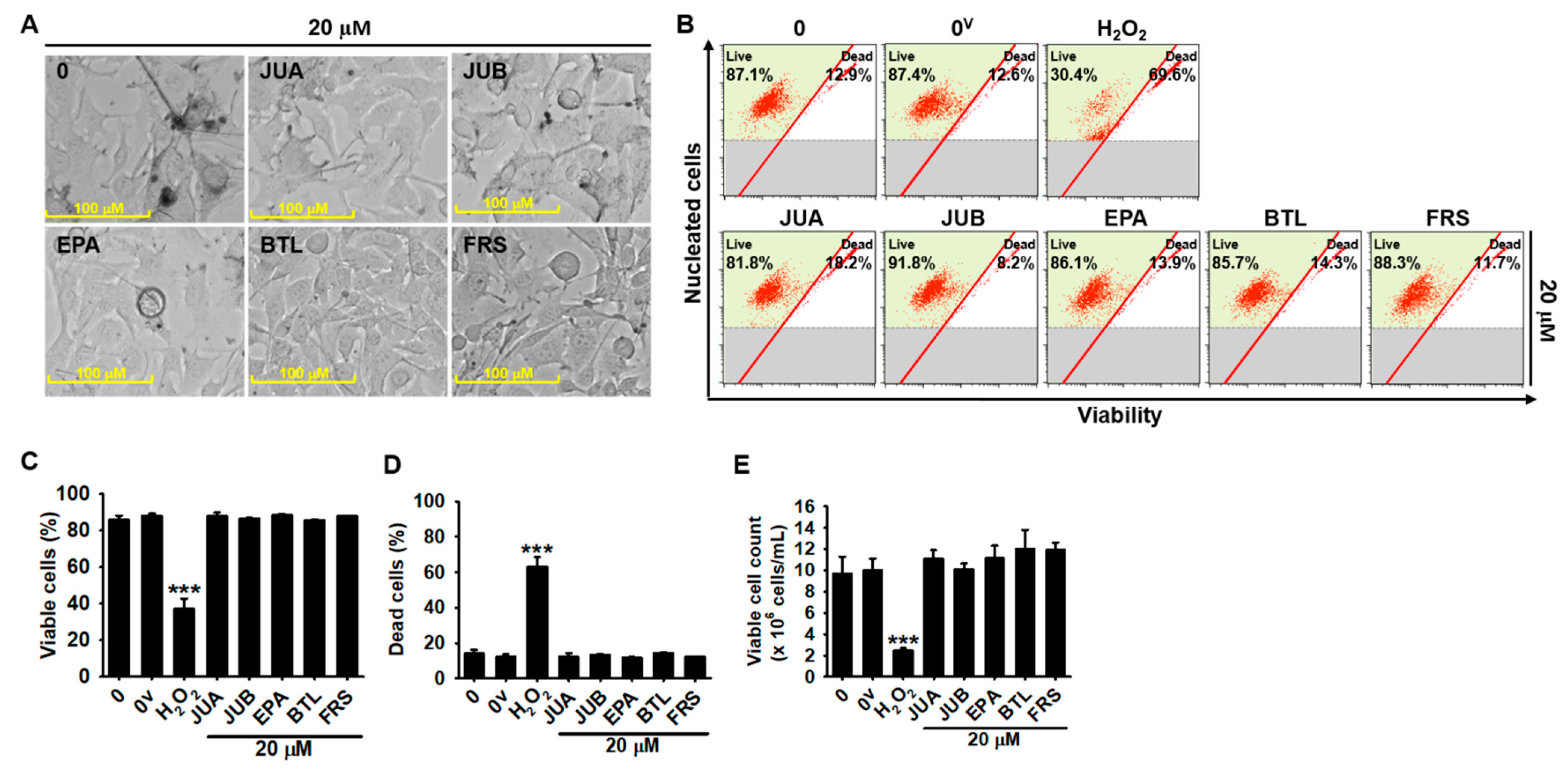 Ijms 22 07701 g002 550