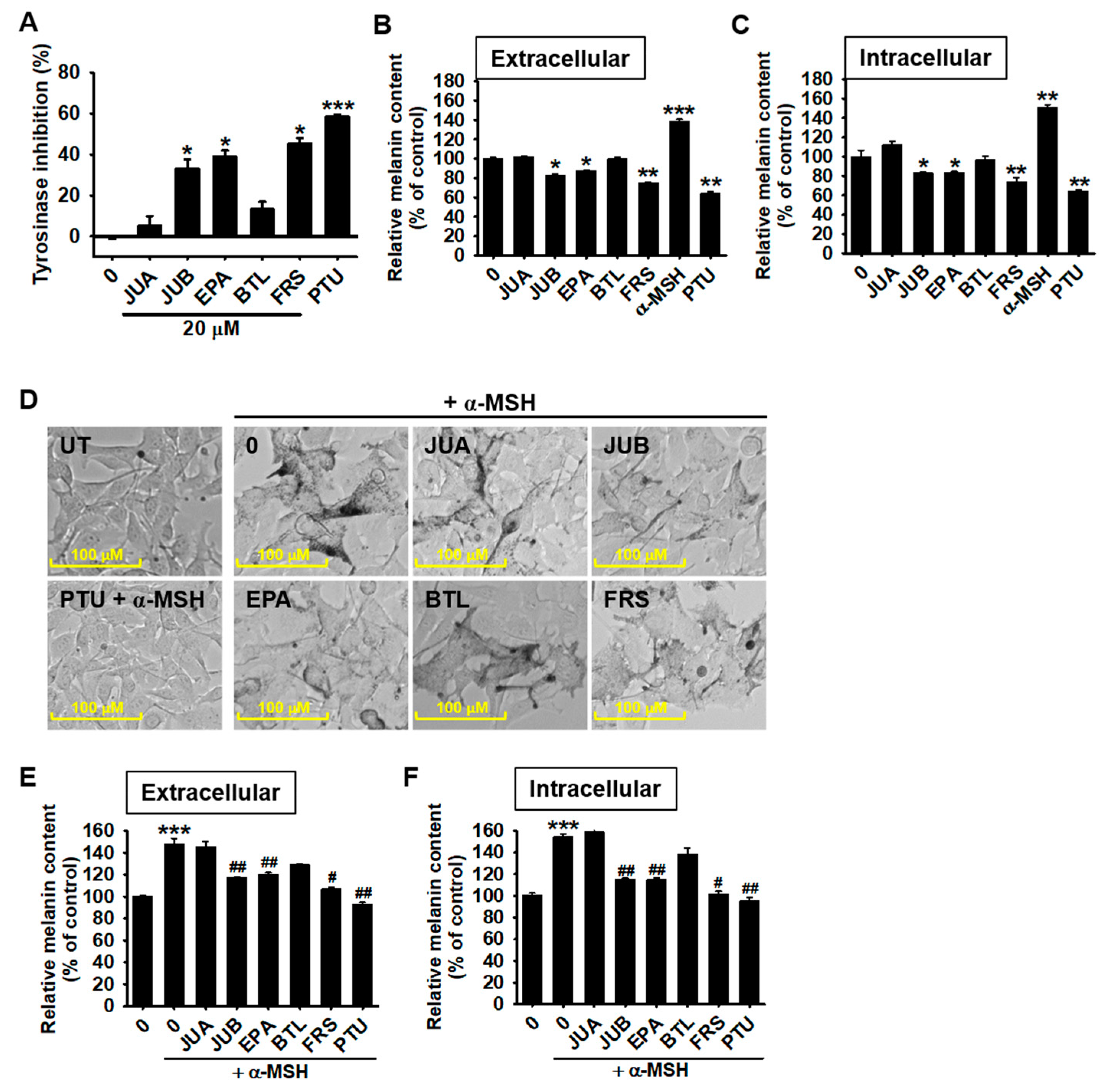 Ijms 22 07701 g003 550