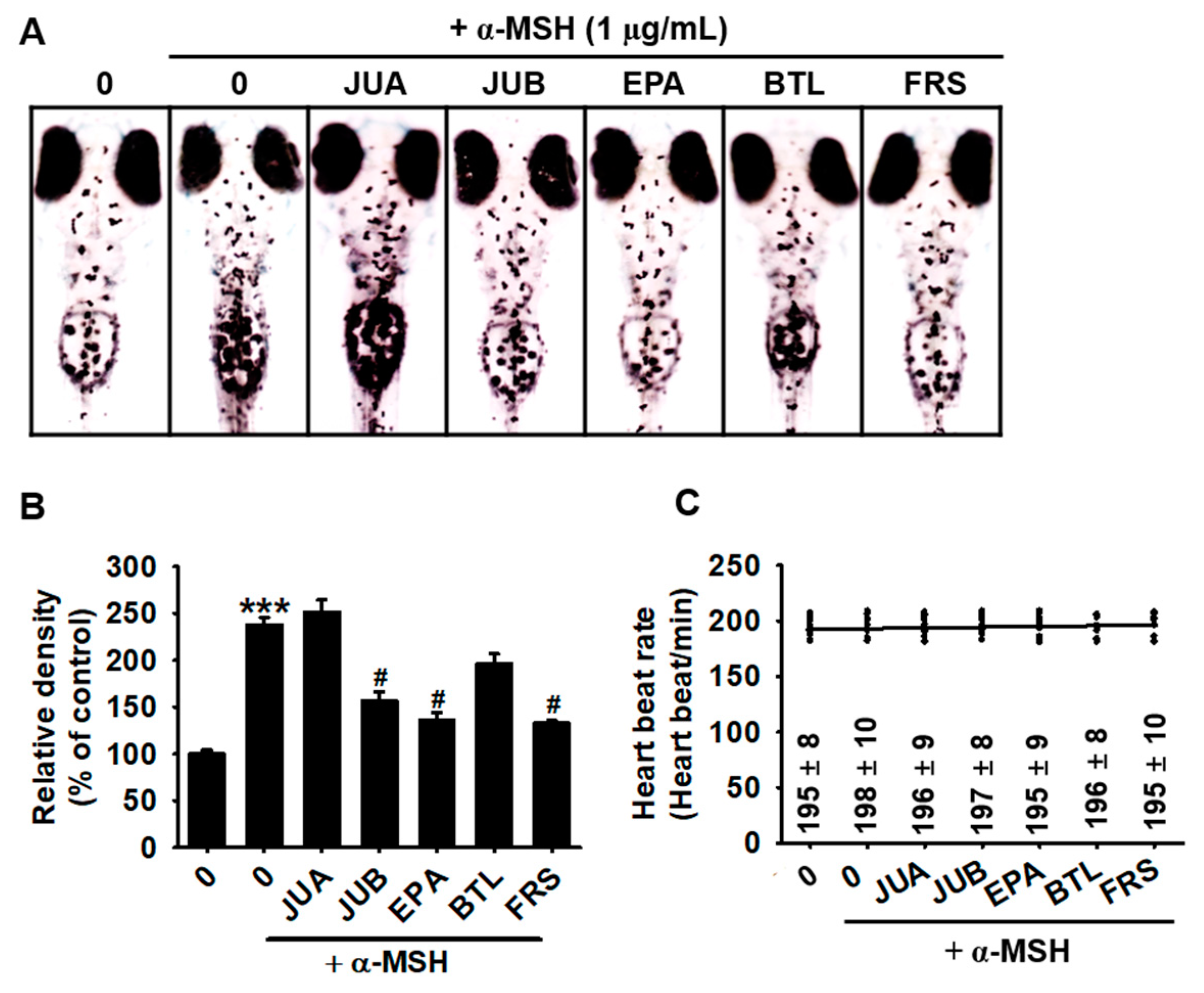 Ijms 22 07701 g004 550