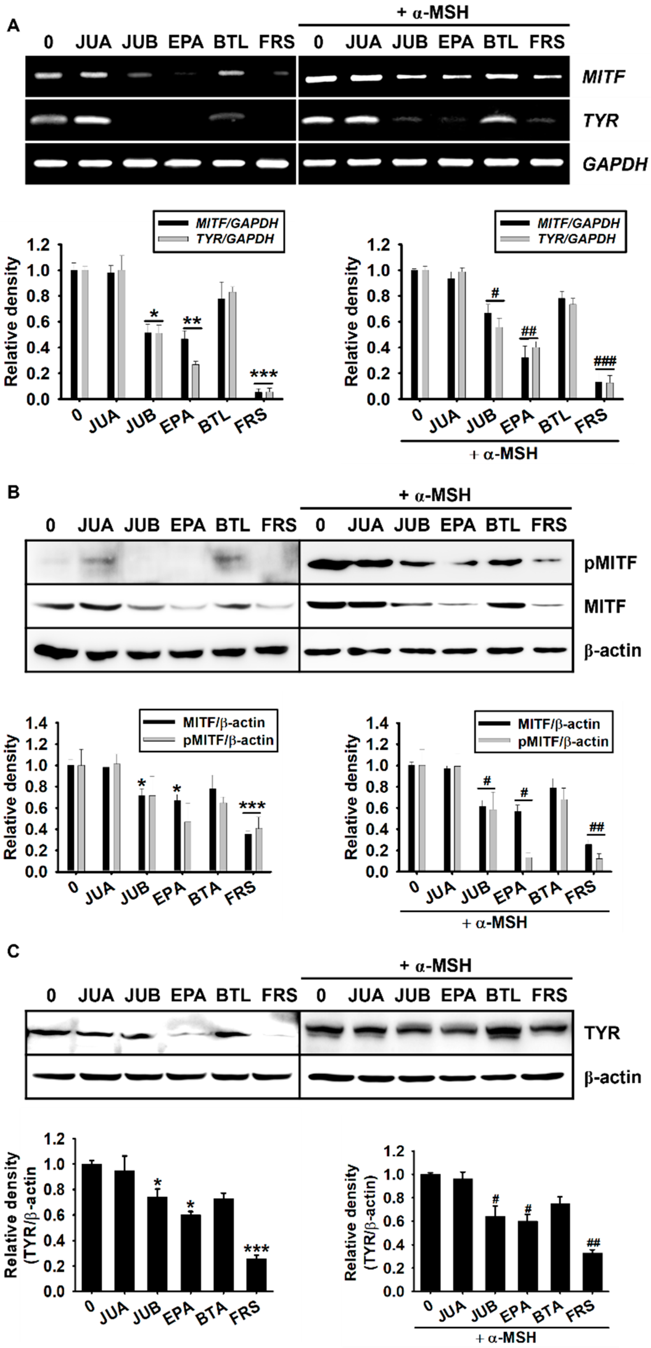 Ijms 22 07701 g005 550