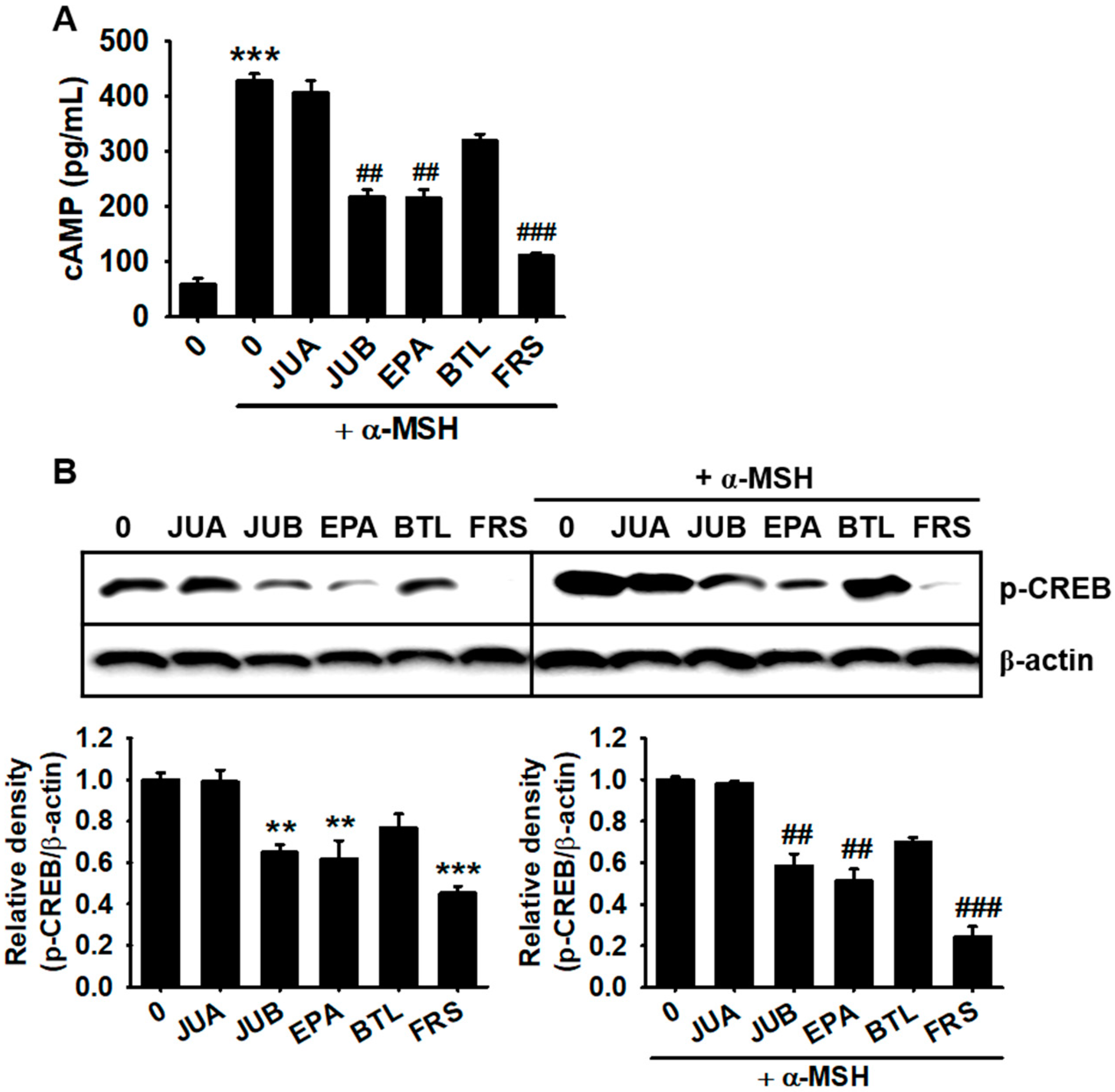 Ijms 22 07701 g006 550