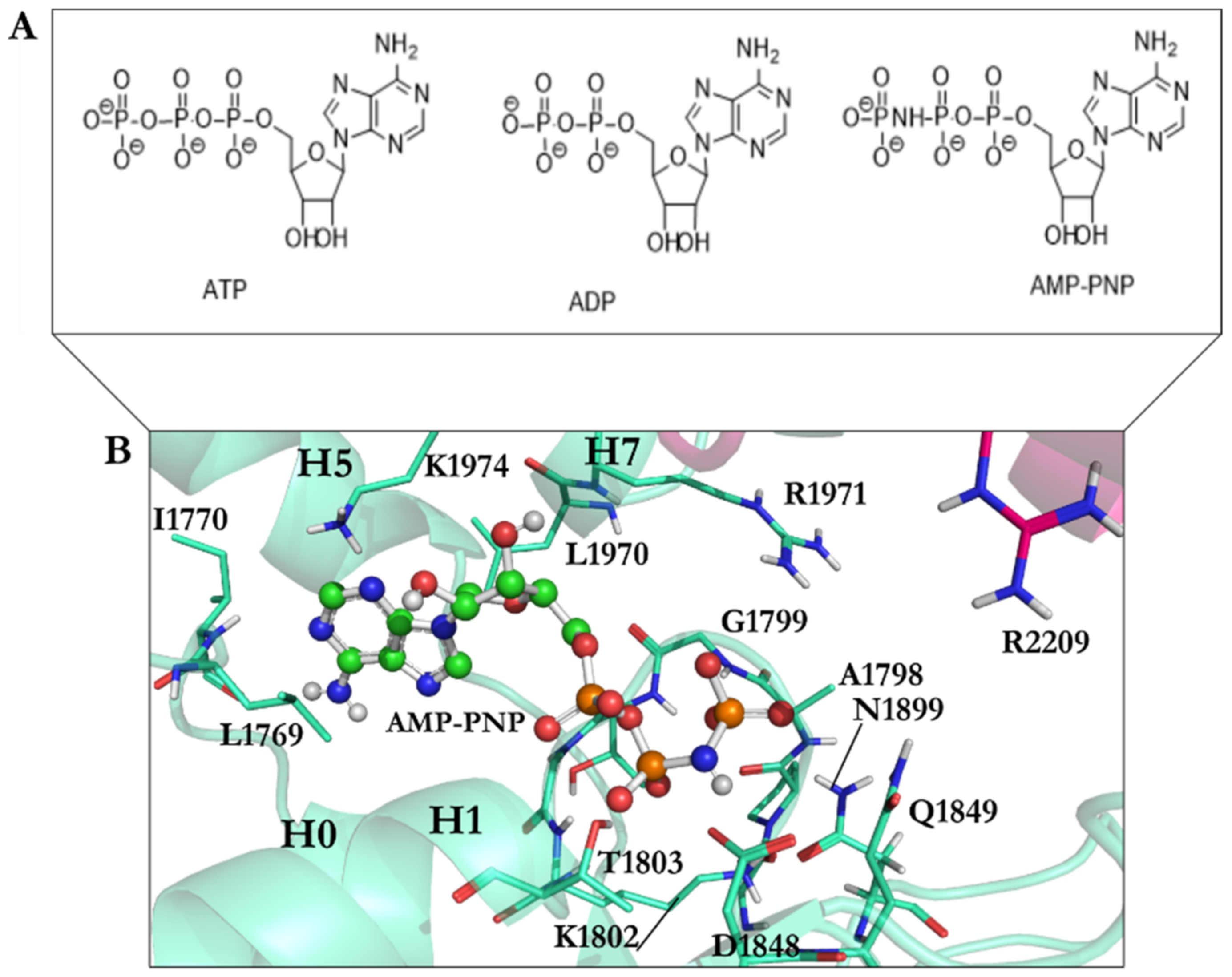 Ijms 22 07704 g003 Ijms 22 07704 g003