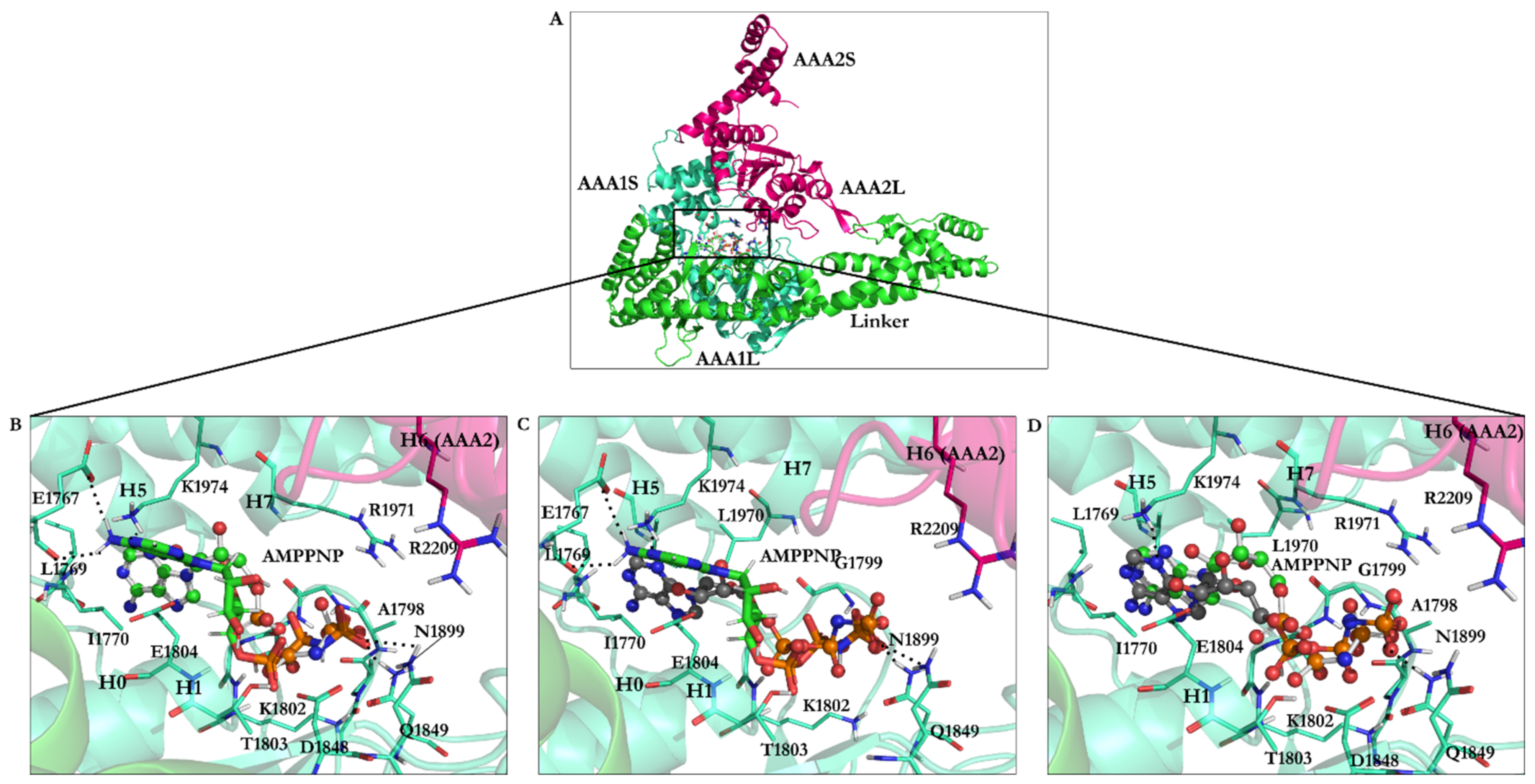 Ijms 22 07704 g006 Ijms 22 07704 g006