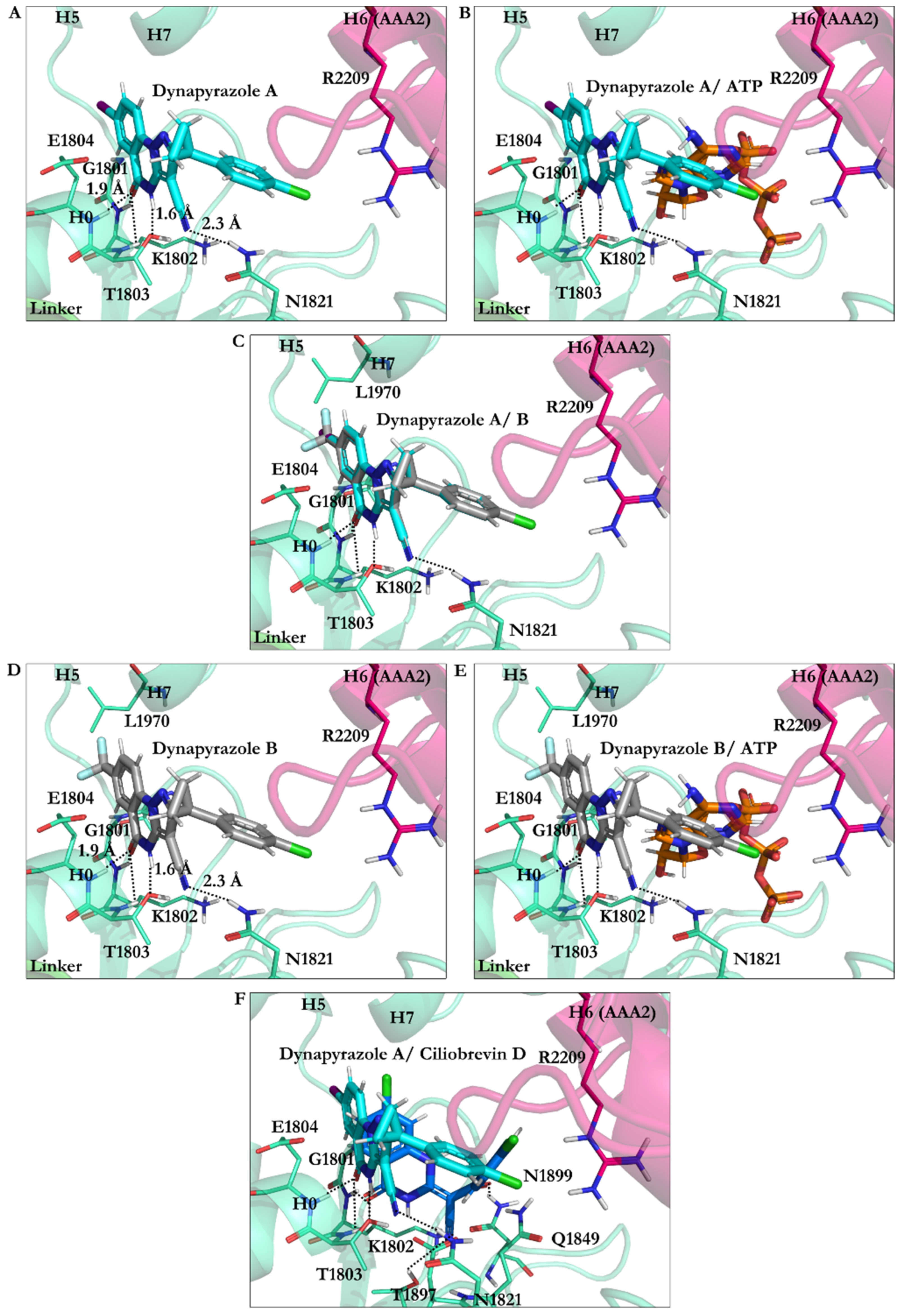 Ijms 22 07704 g011 Ijms 22 07704 g011