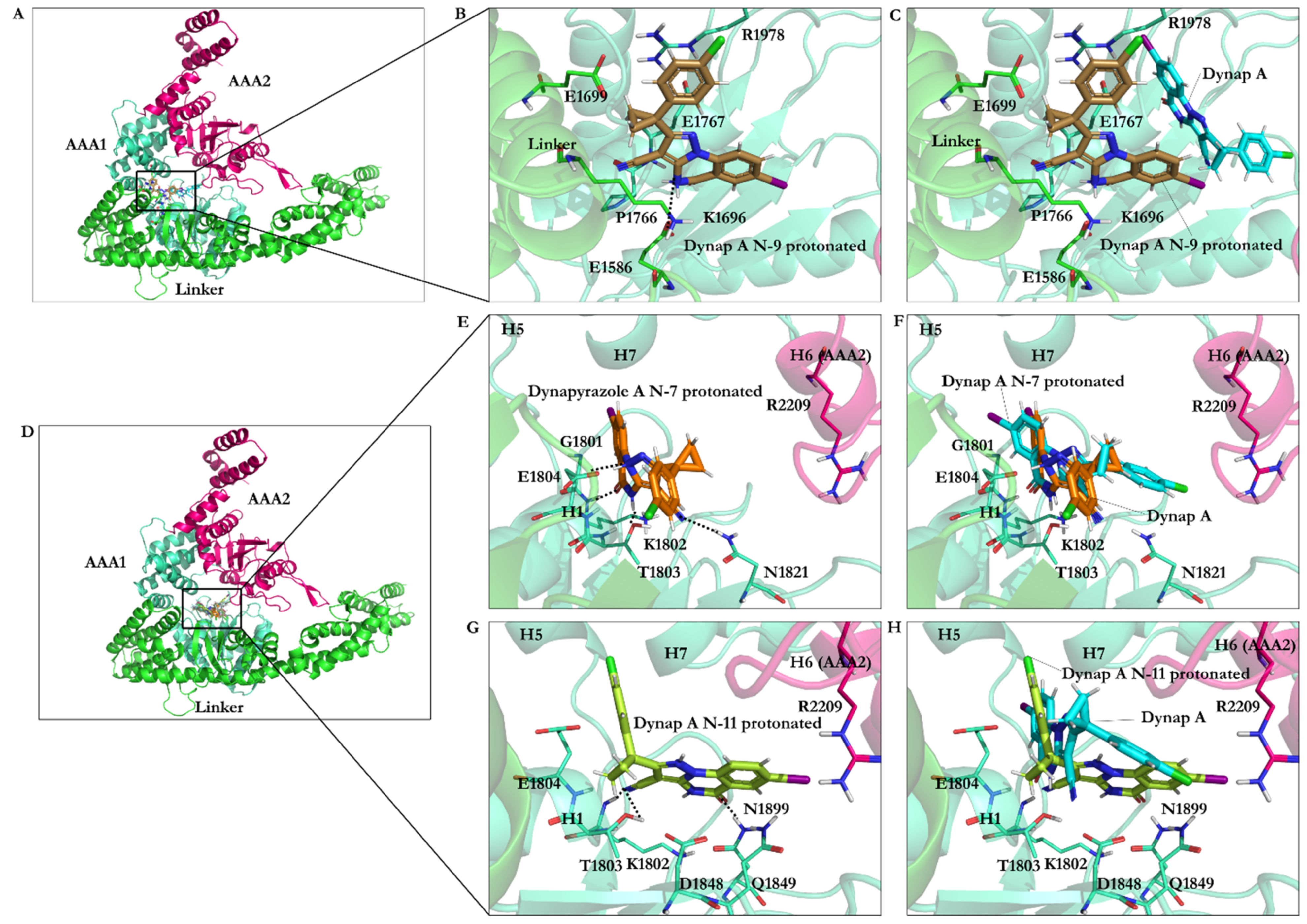 Ijms 22 07704 g013 Ijms 22 07704 g013