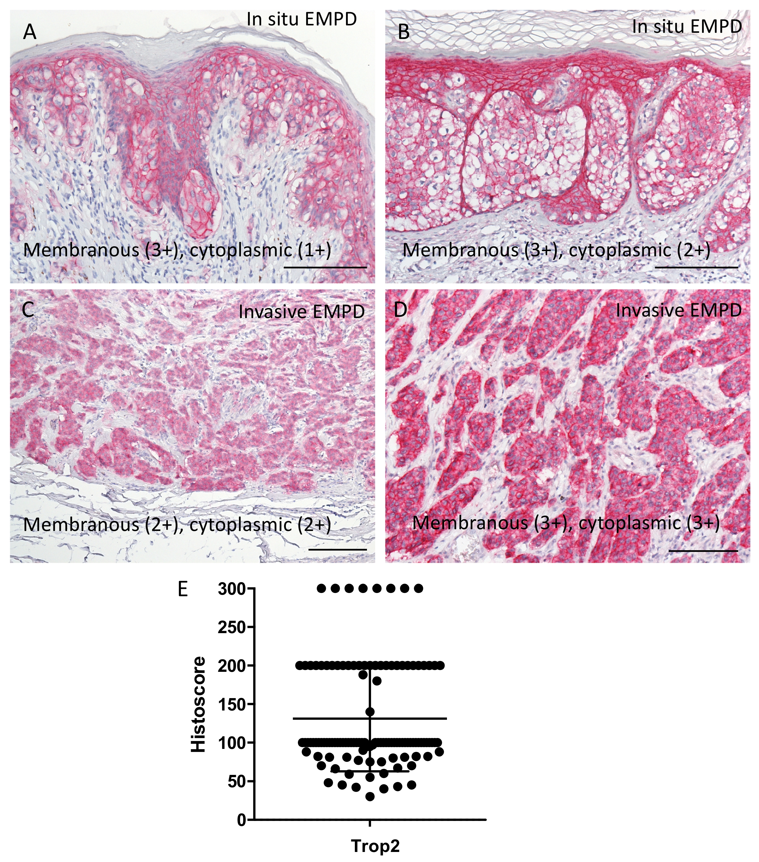 Ijms 22 07706 g003 550