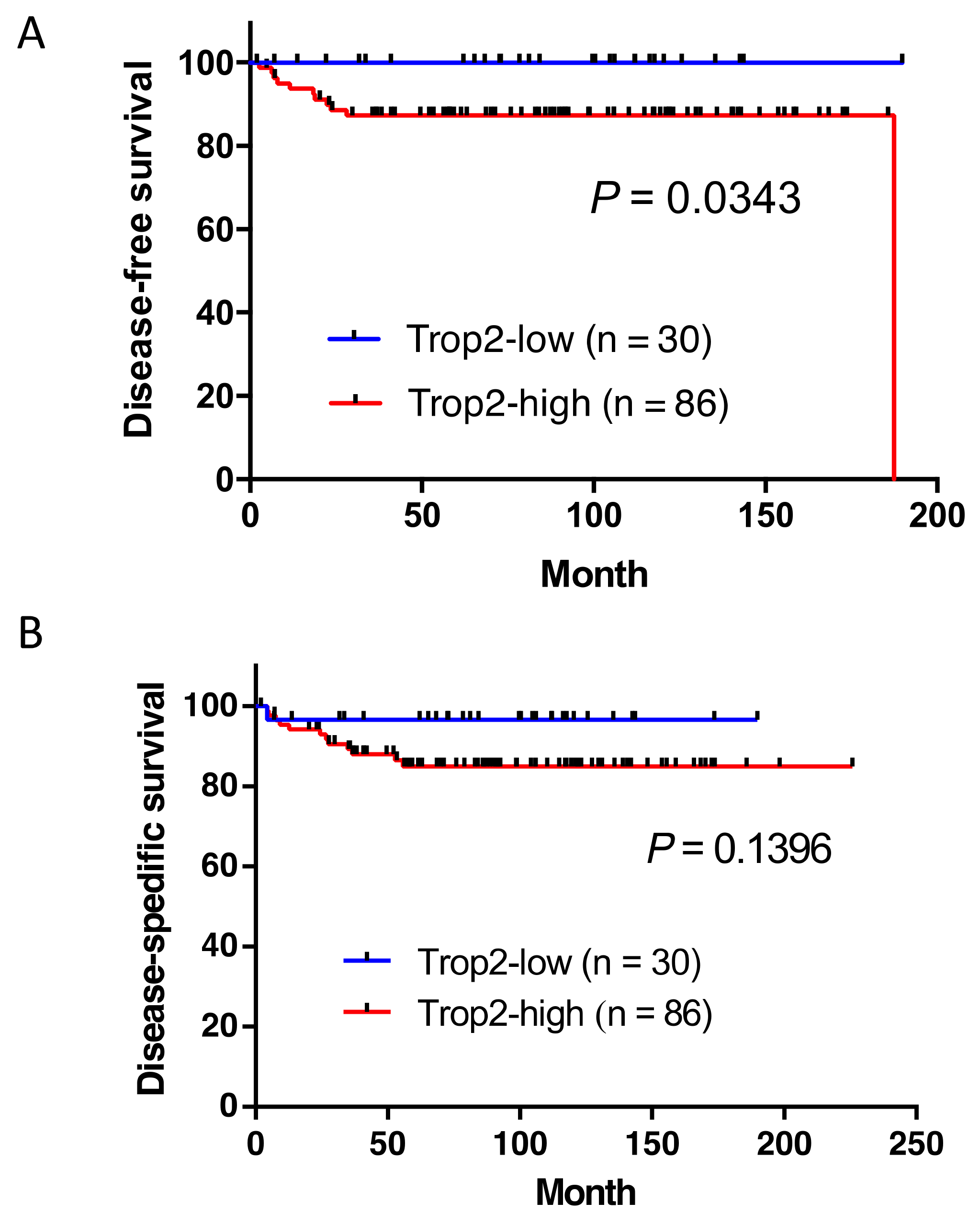 Ijms 22 07706 g004 550