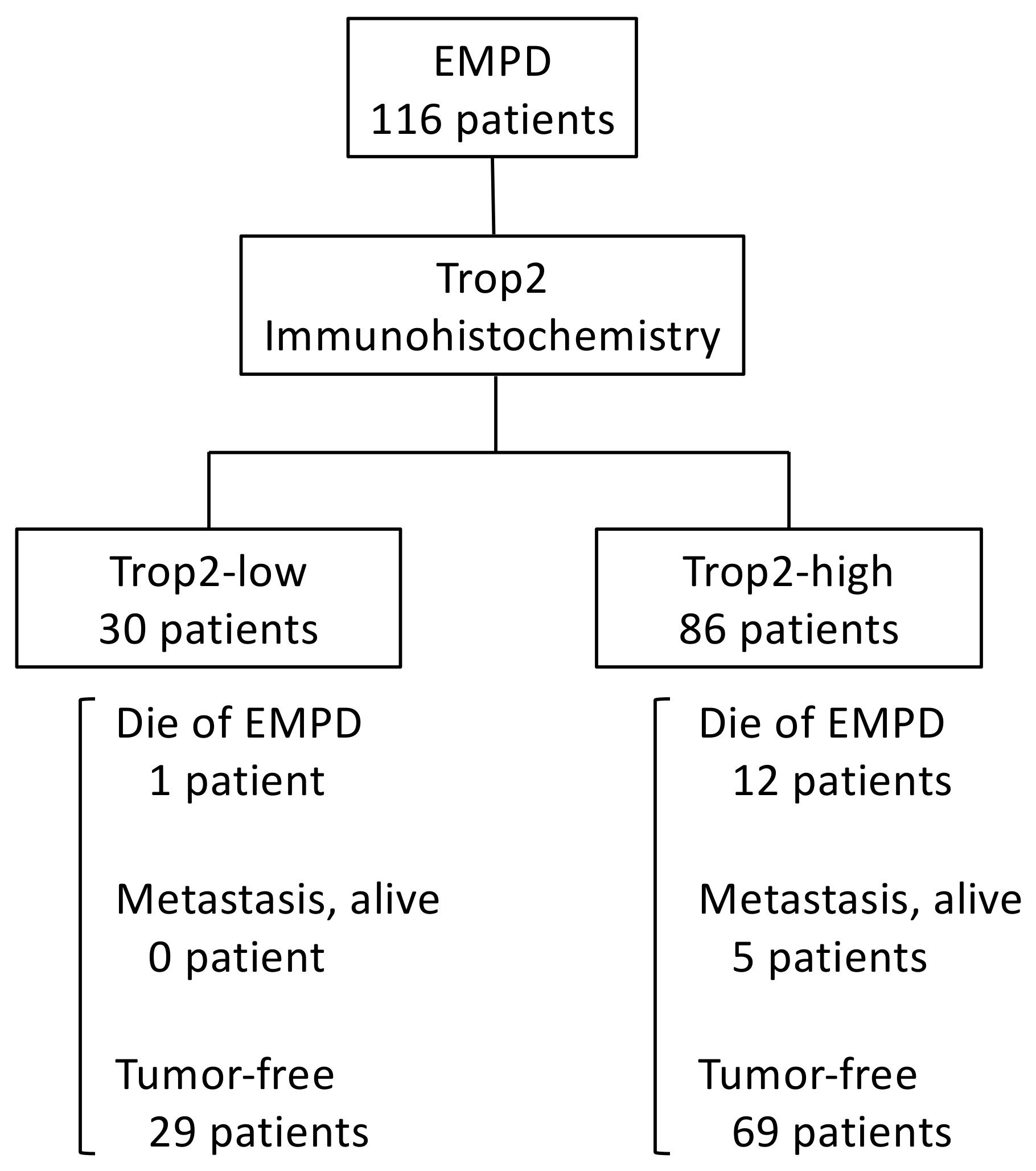 Ijms 22 07706 g005 550