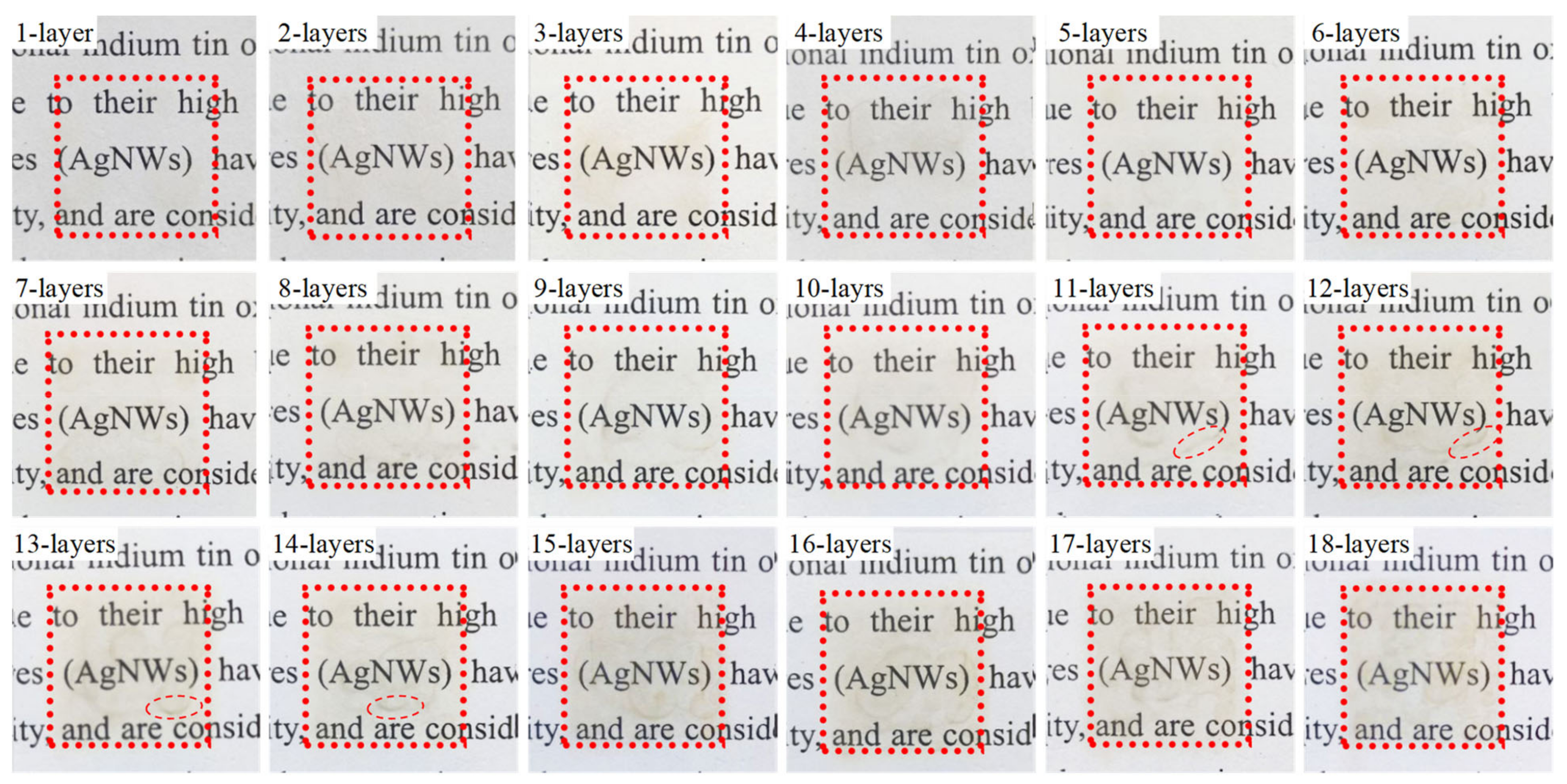 Ijms 22 07719 g003 550