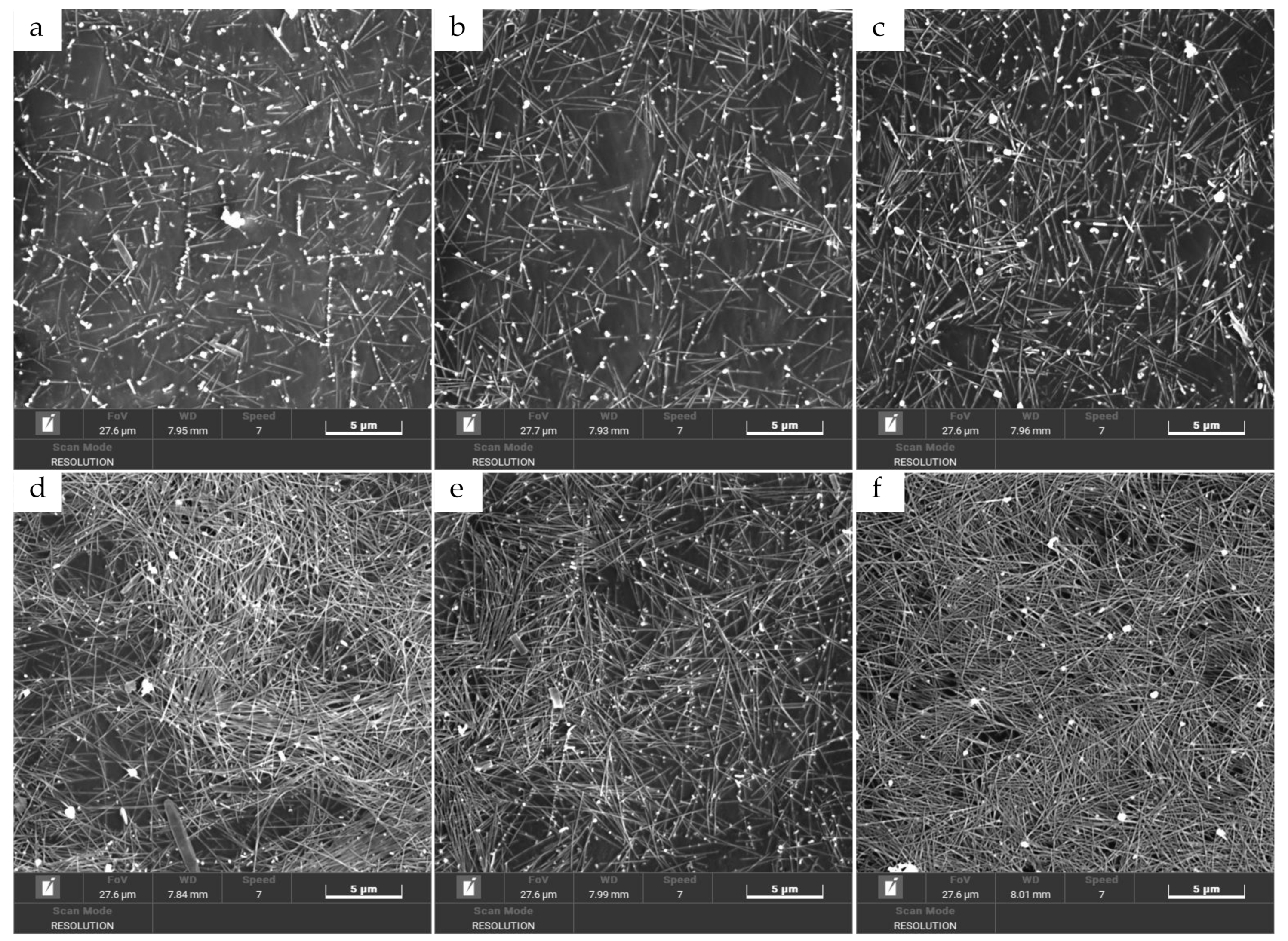 Ijms 22 07719 g004 550