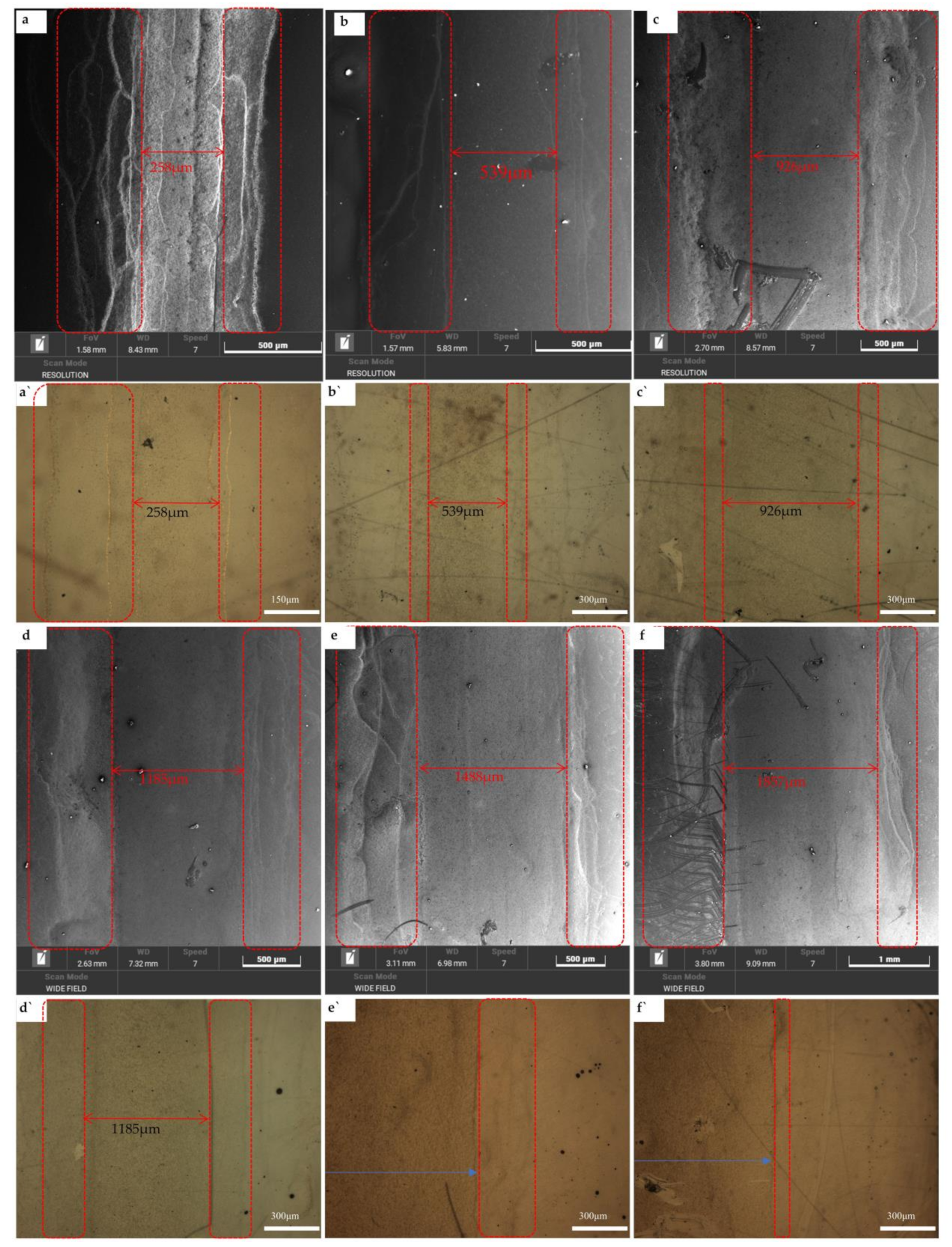 Ijms 22 07719 g012 550