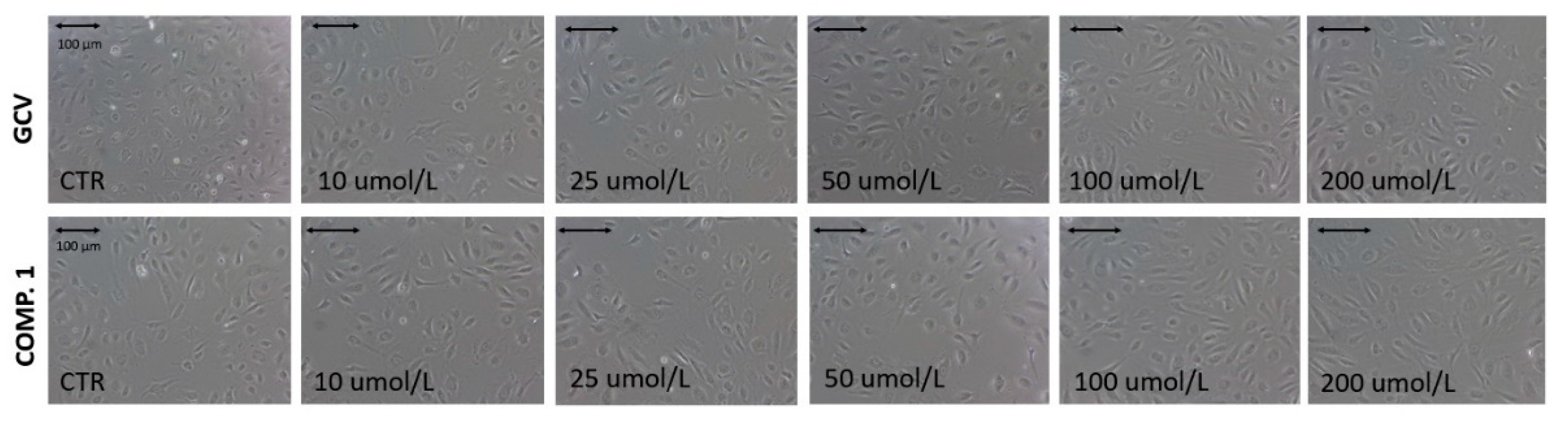 Ijms 22 07727 g007 550