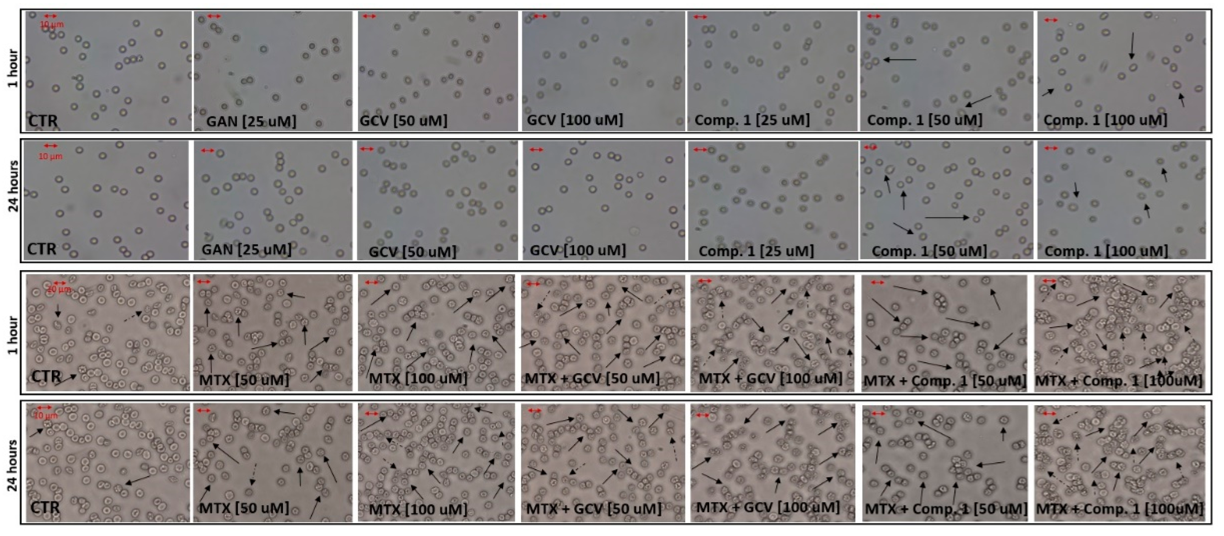 Ijms 22 07727 g009 550