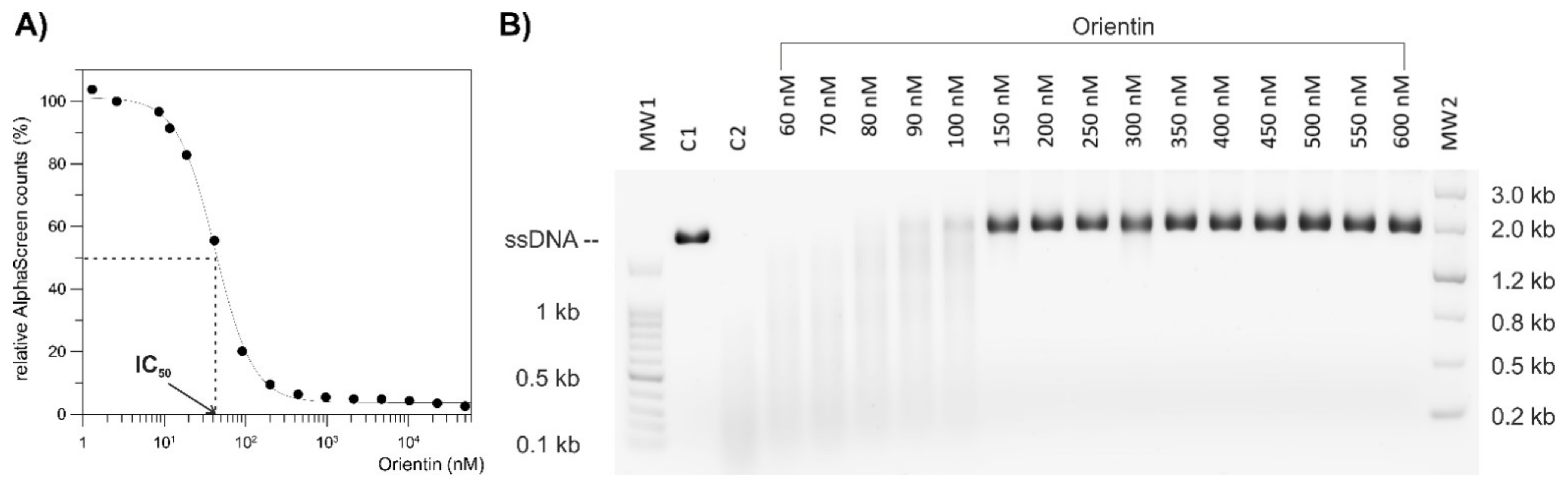 Ijms 22 07735 g002 550