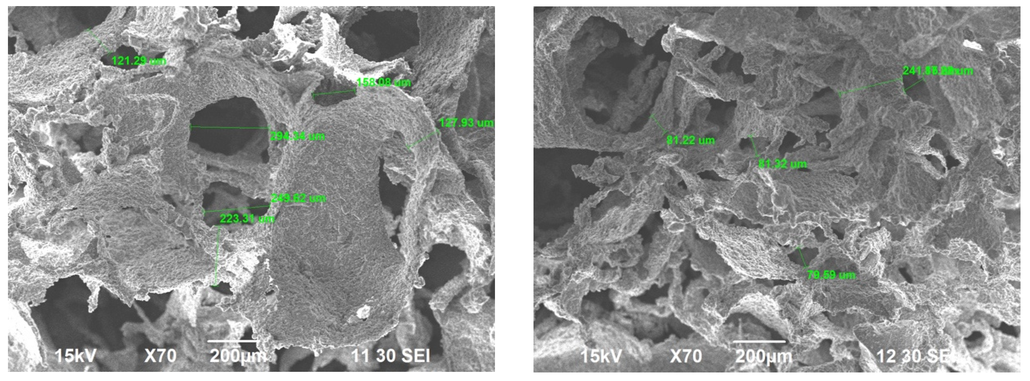 Ijms 22 07736 g003 Ijms 22 07736 g003