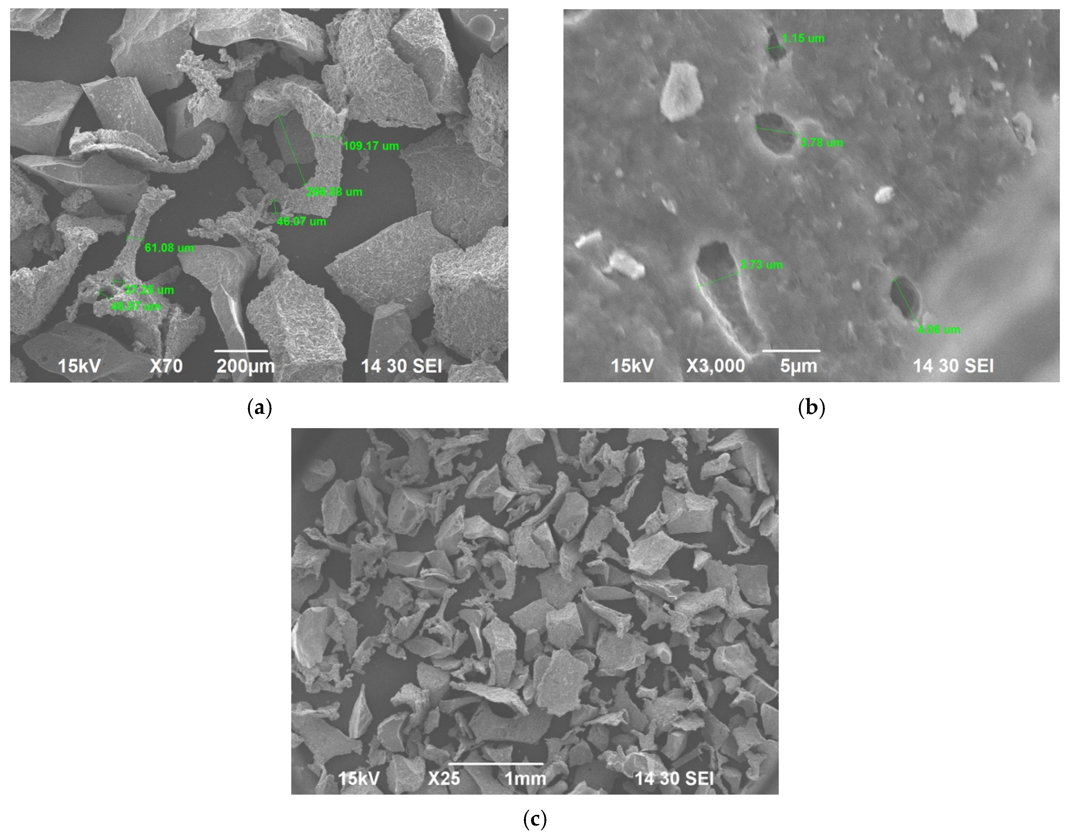 Ijms 22 07736 g004 Ijms 22 07736 g004