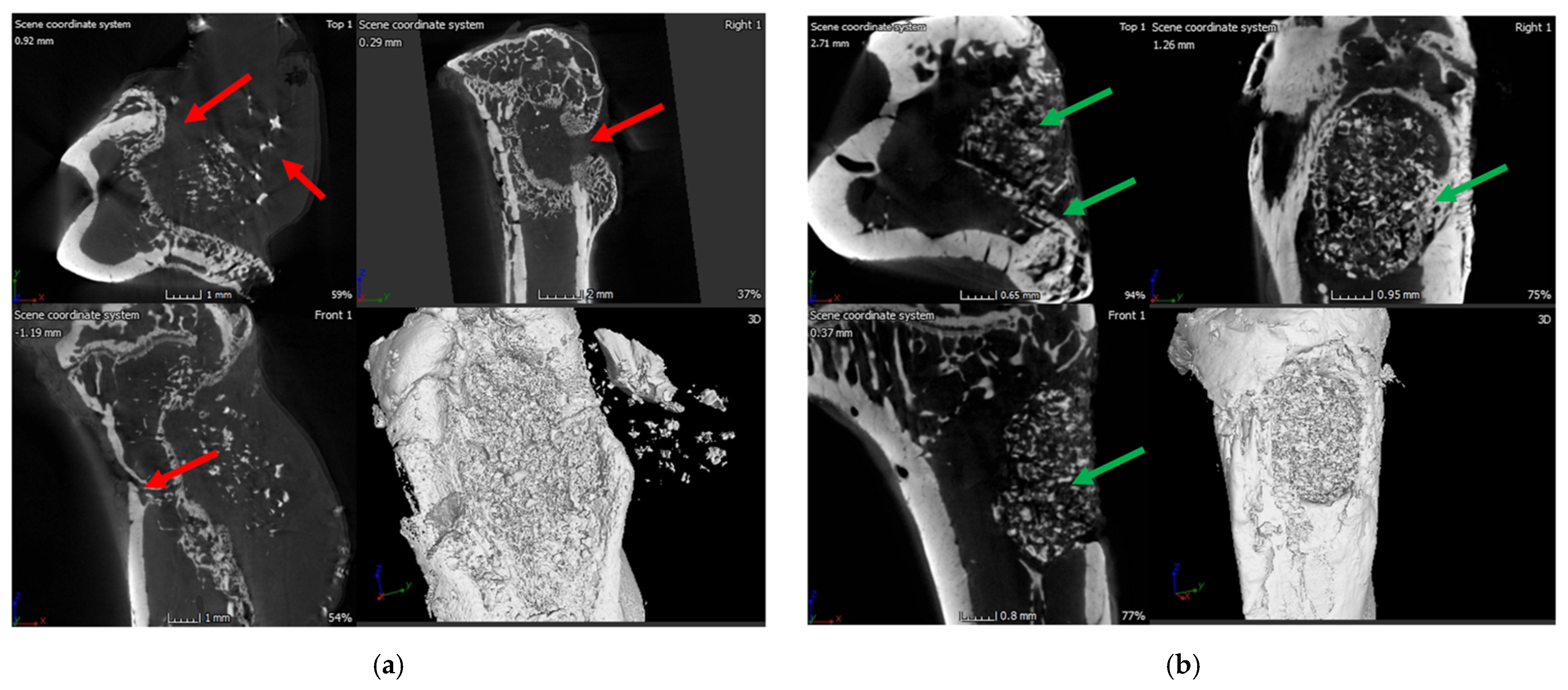 Ijms 22 07736 g011 Ijms 22 07736 g011