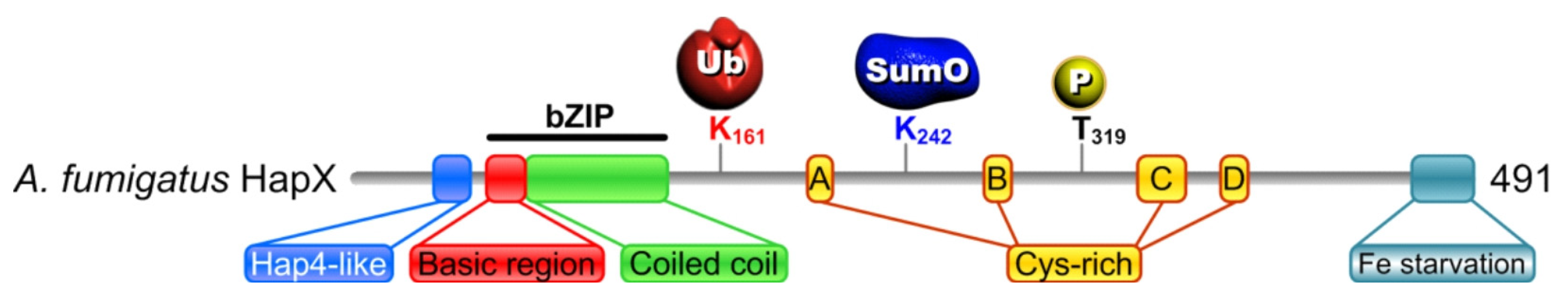 Ijms 22 07739 g001 550