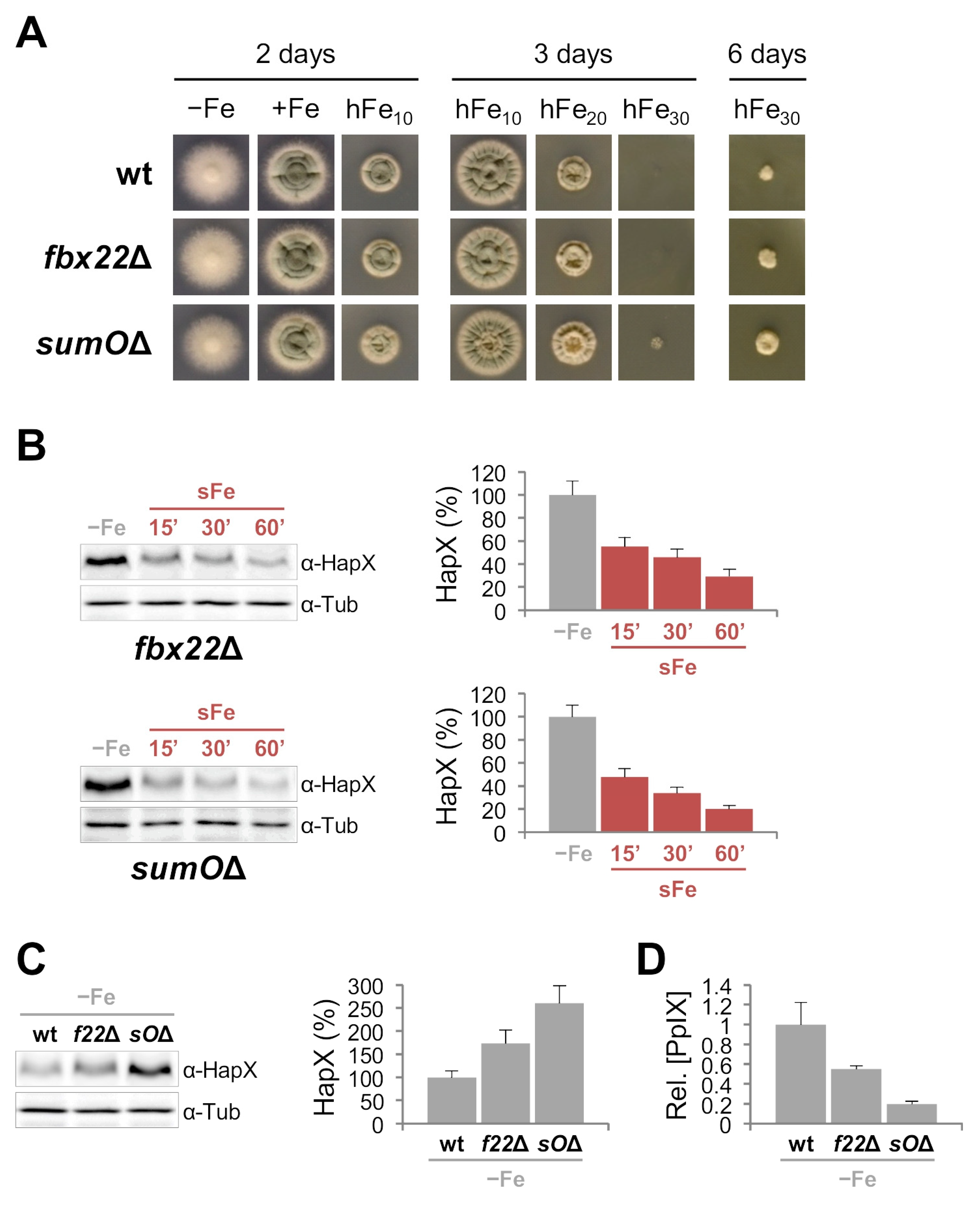 Ijms 22 07739 g005 550