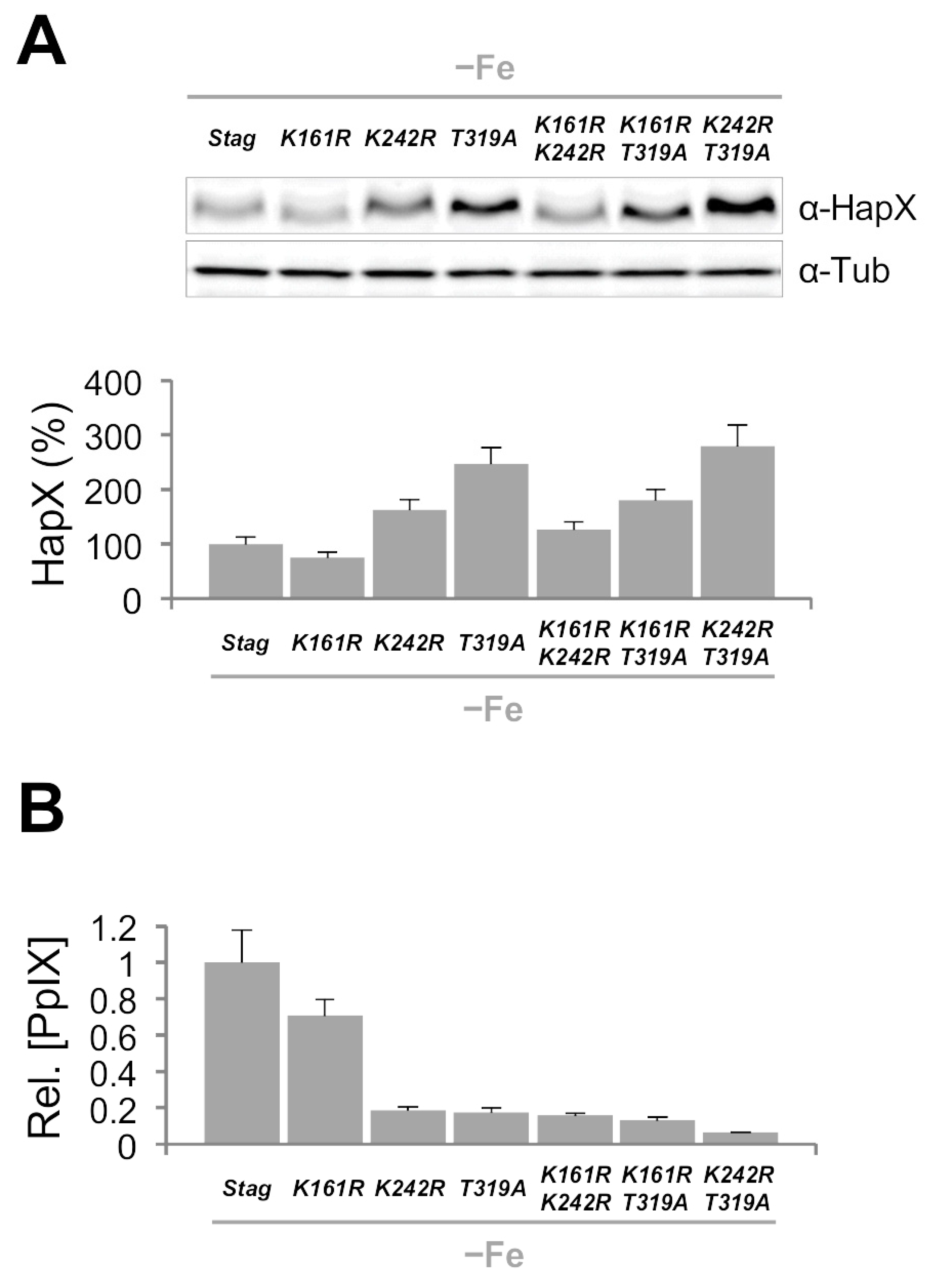 Ijms 22 07739 g009 550
