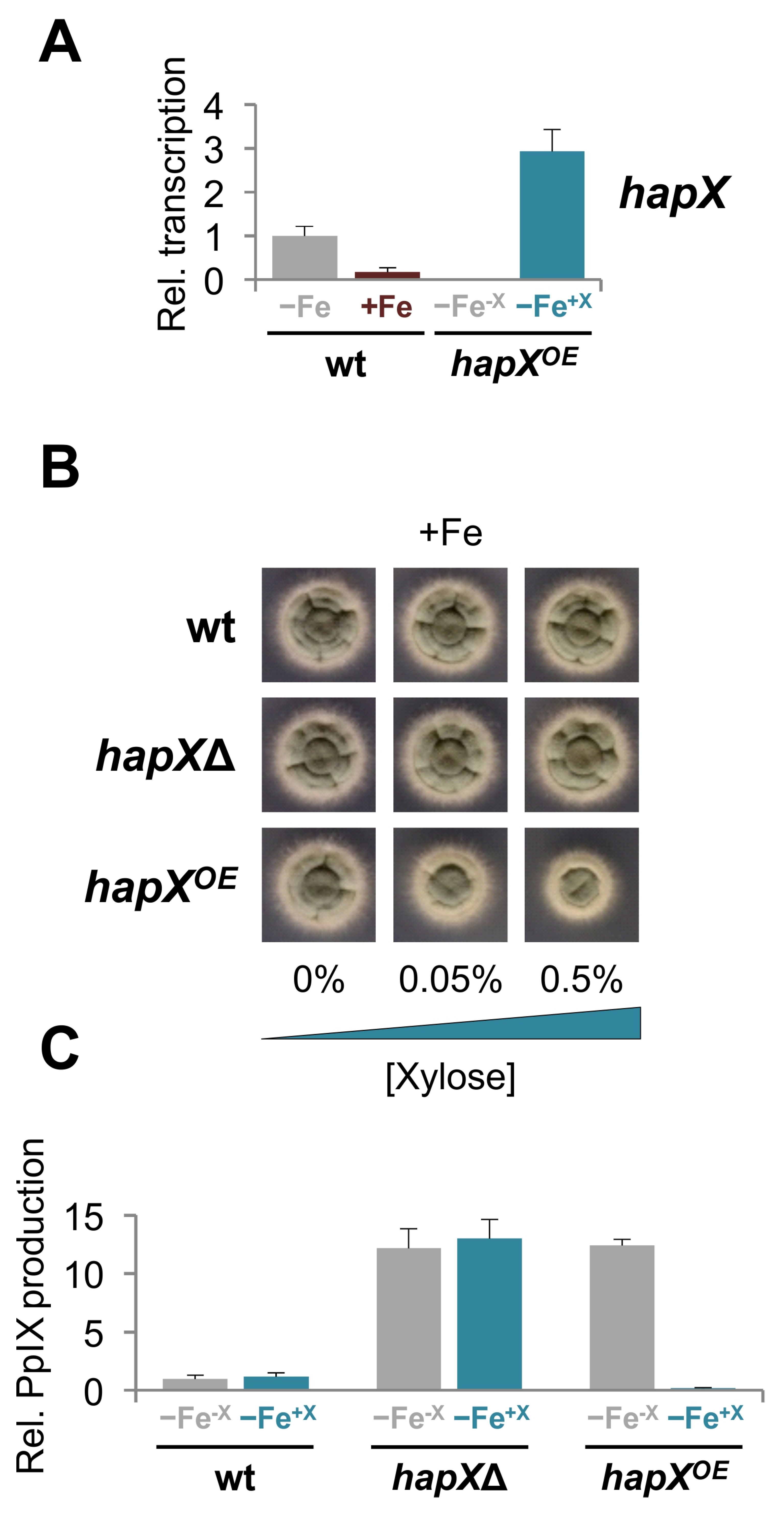 Ijms 22 07739 g010 550
