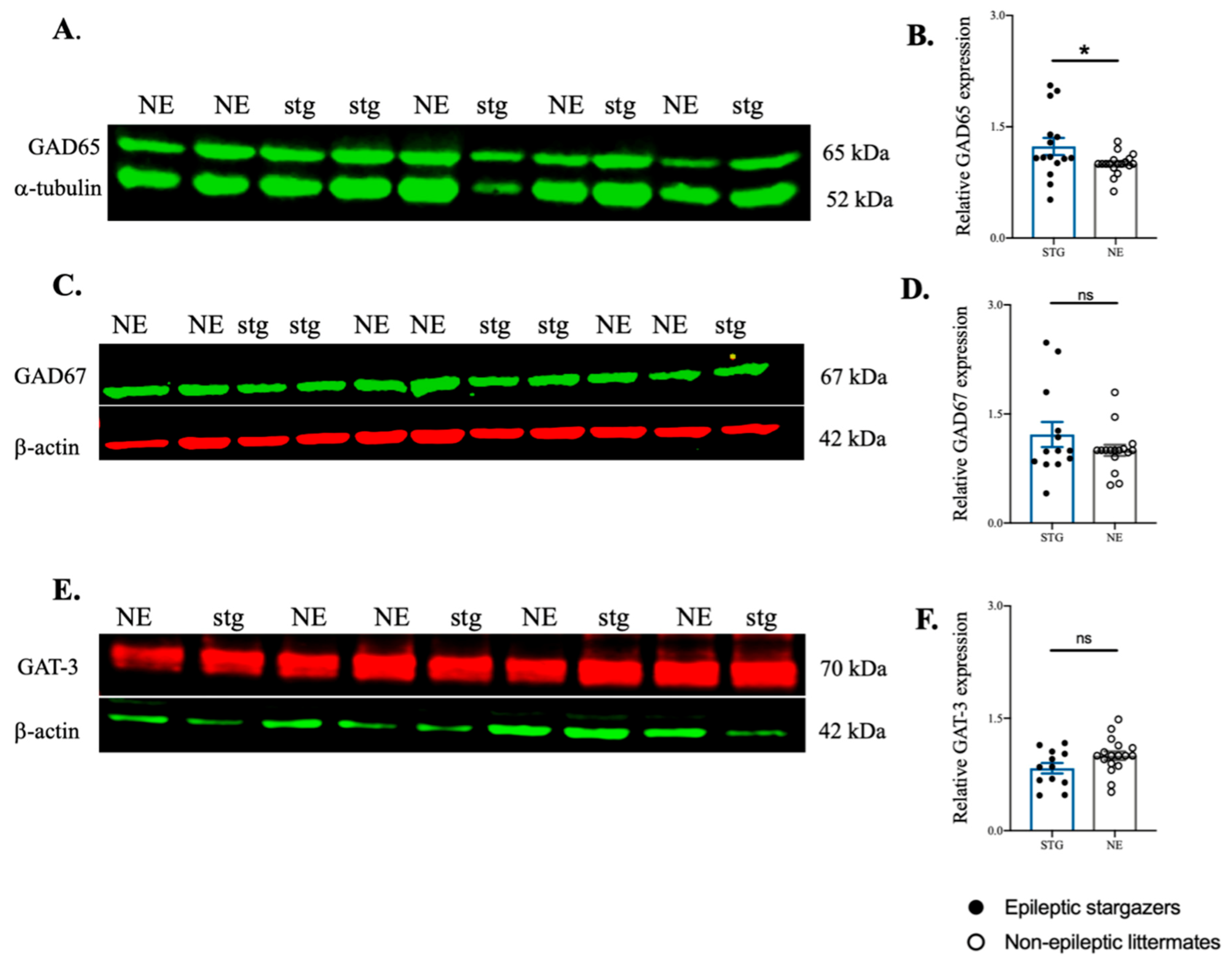 Ijms 22 07740 g006 550