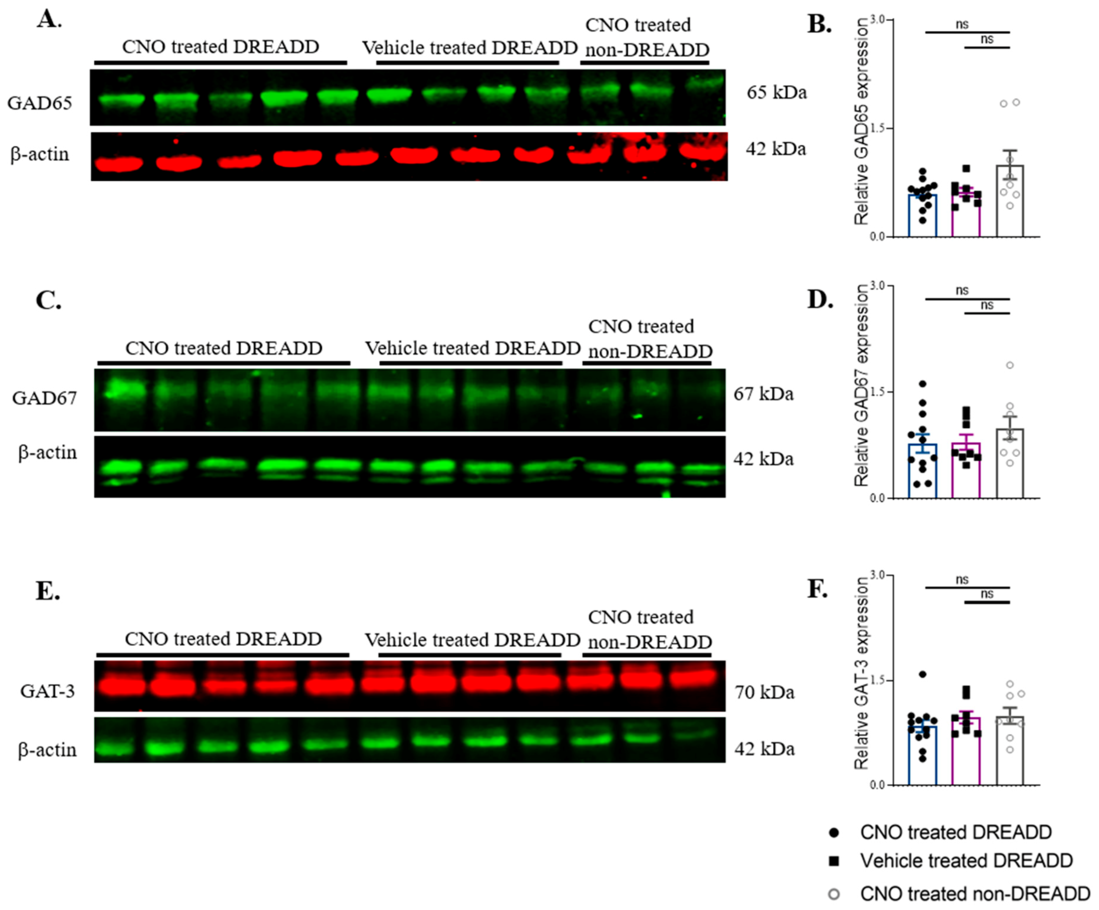 Ijms 22 07740 g008 550