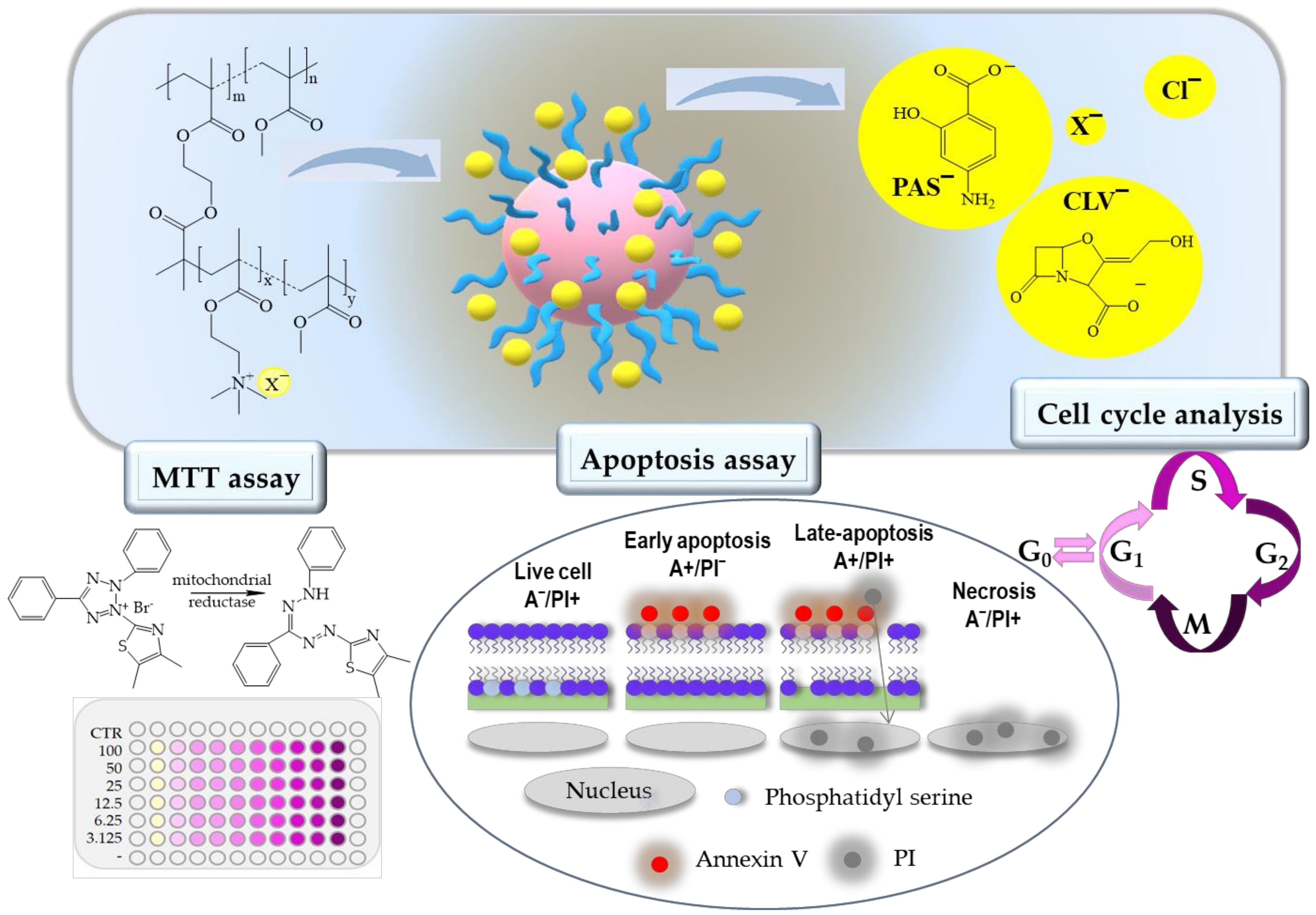 Ijms 22 07741 g001 550