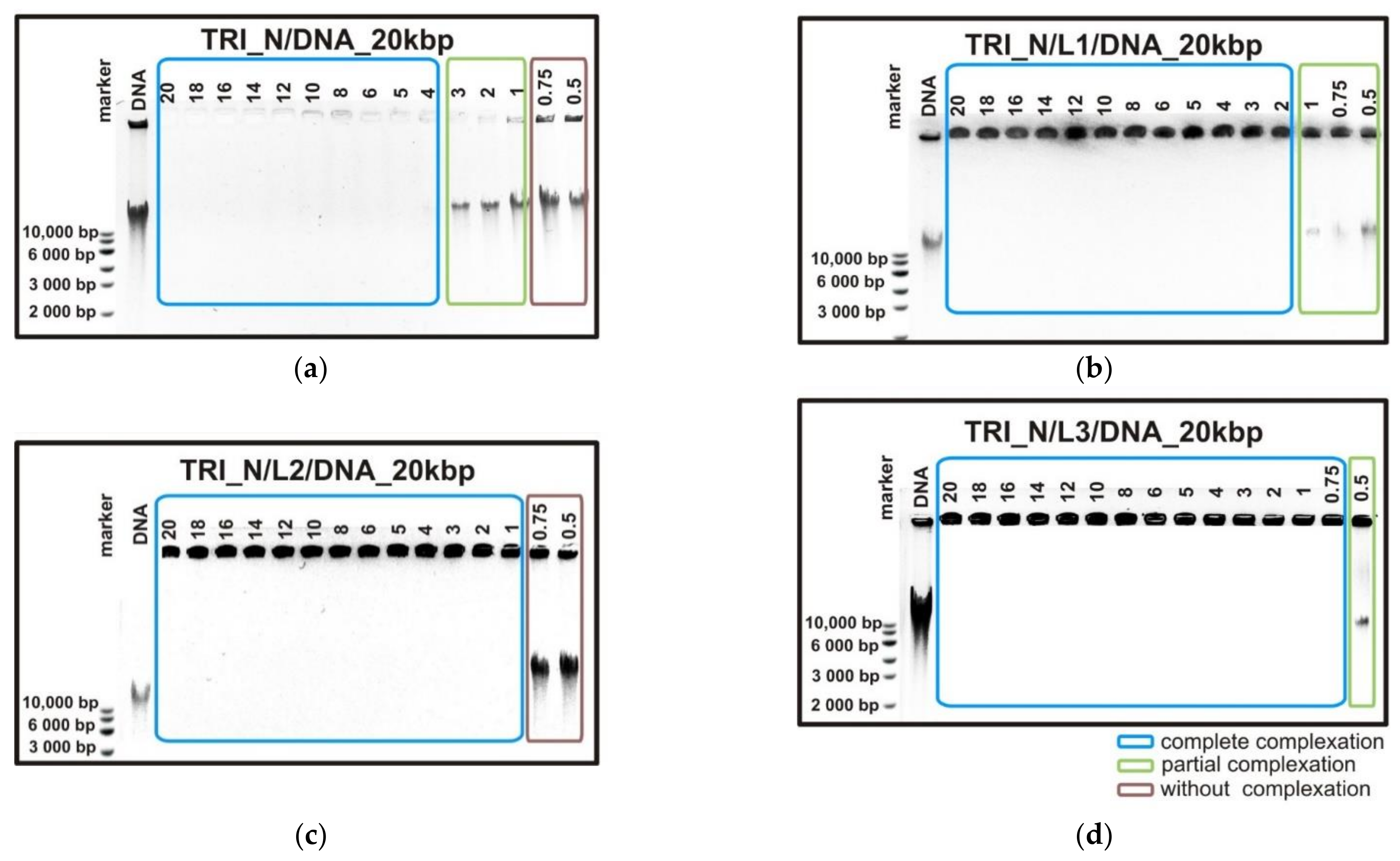 Ijms 22 07744 g001 550