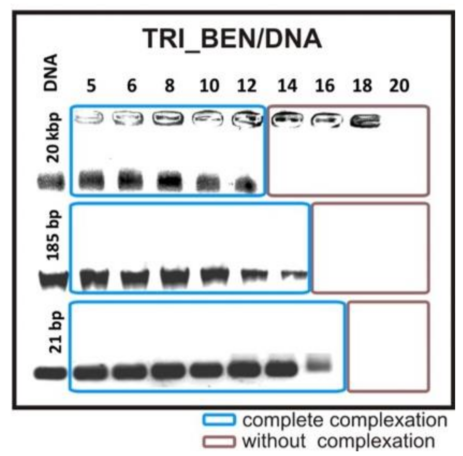 Ijms 22 07744 g002 550