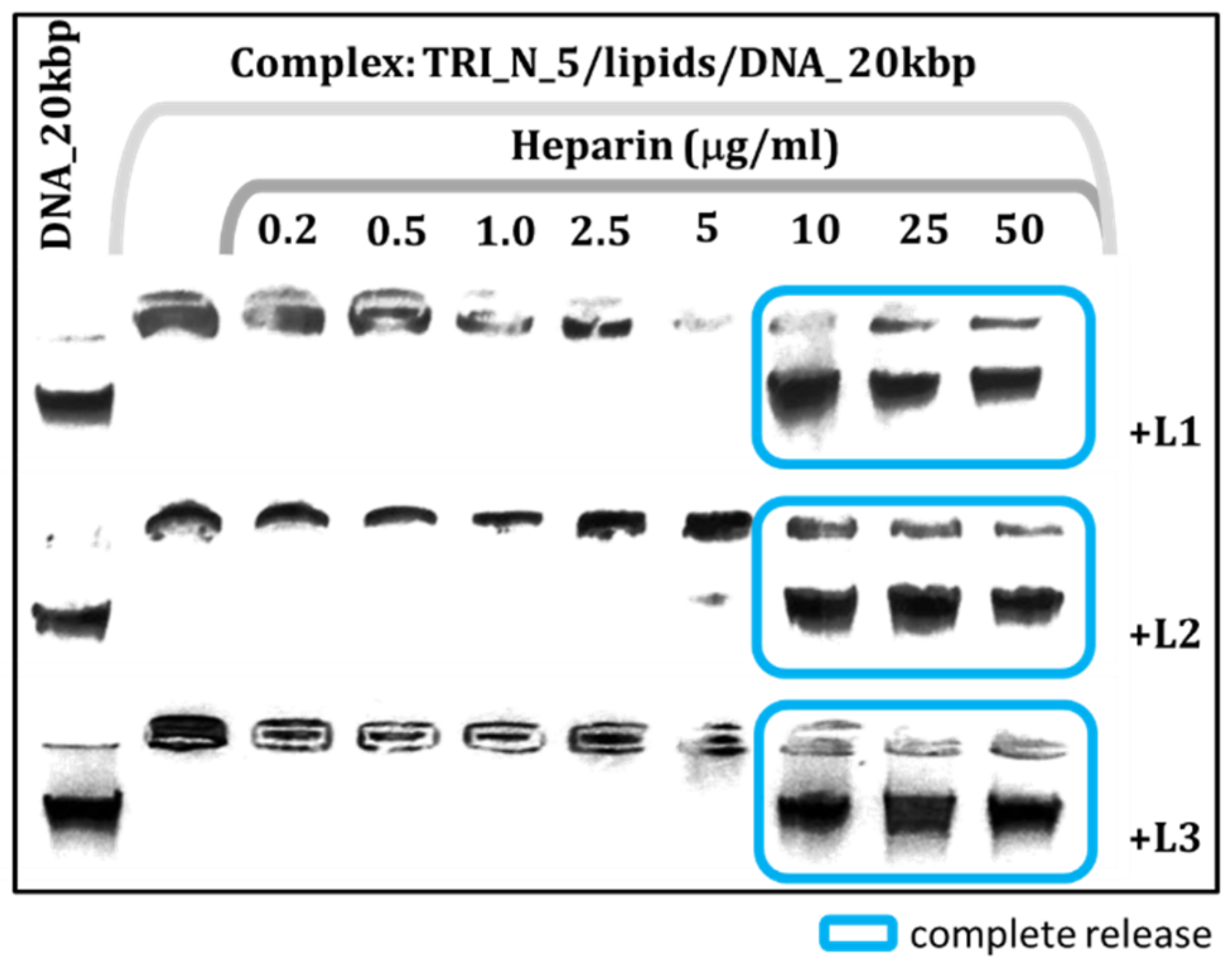 Ijms 22 07744 g004 550