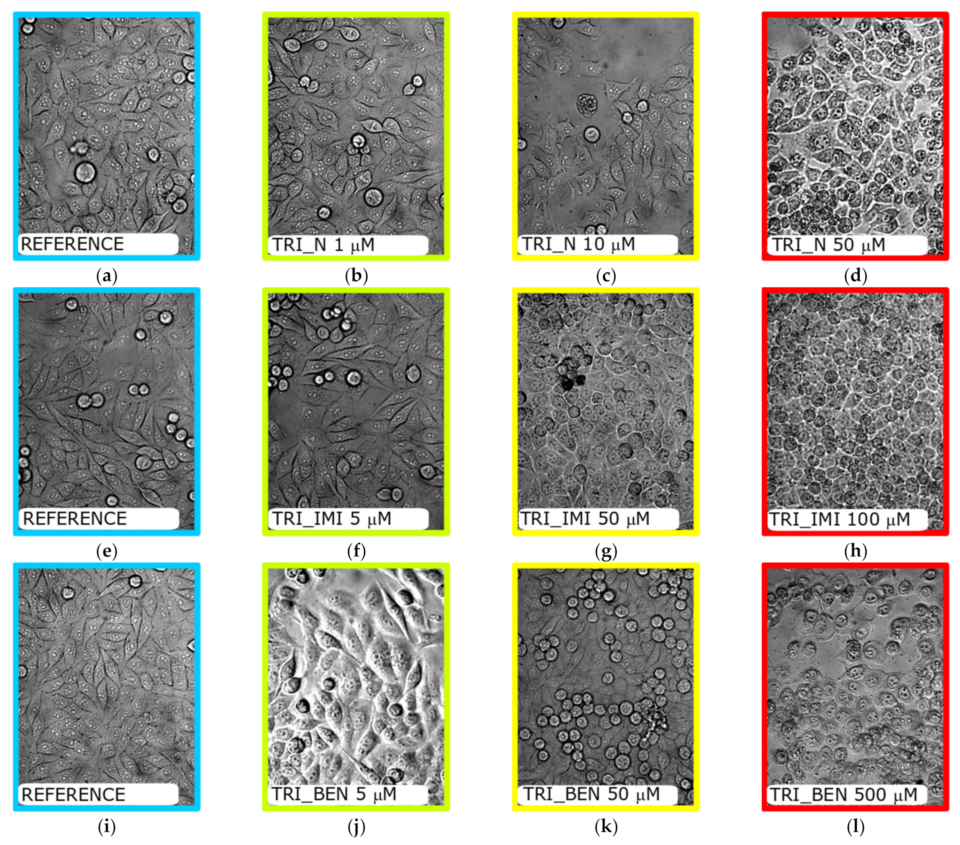 Ijms 22 07744 g008 550