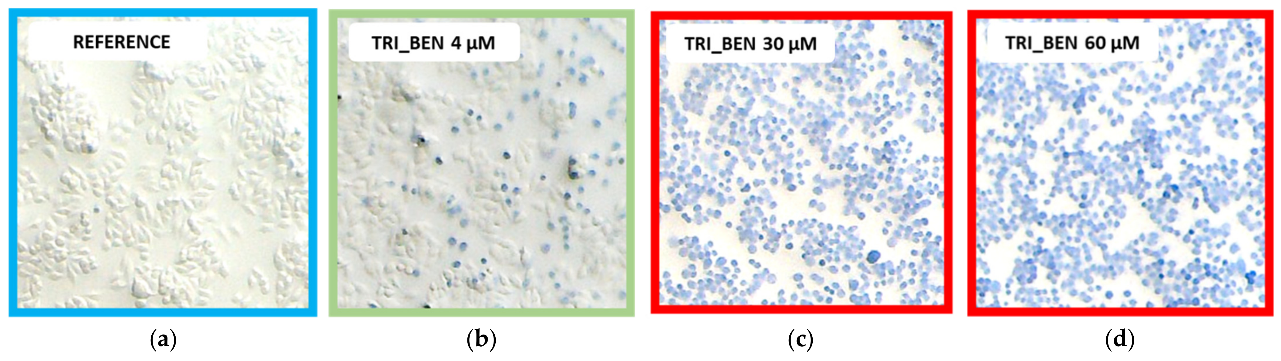Ijms 22 07744 g010 550
