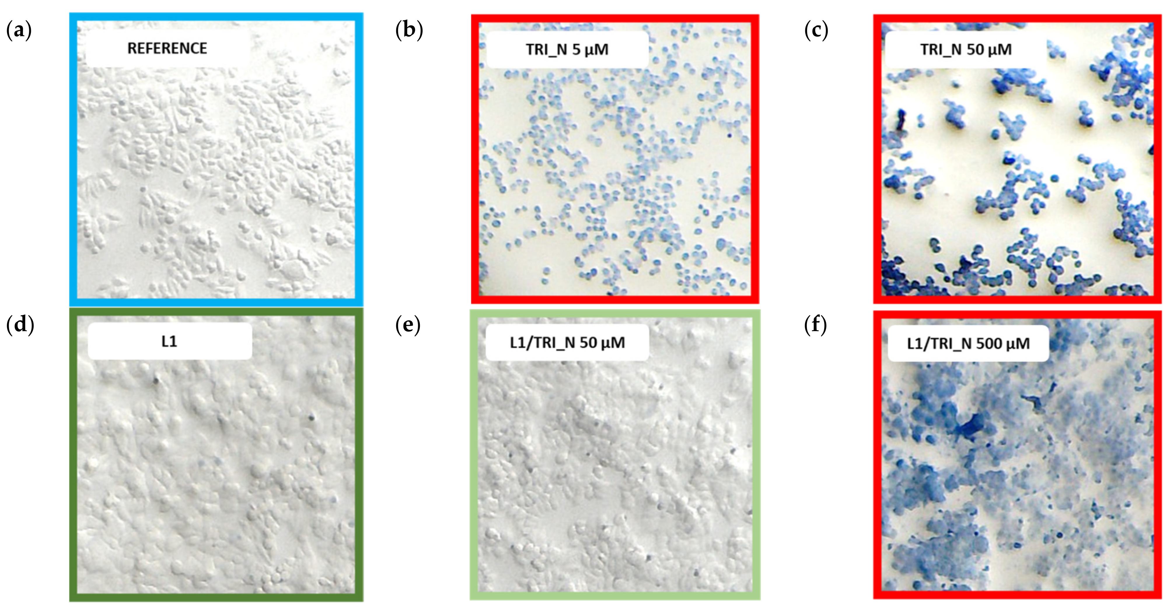 Ijms 22 07744 g011 550