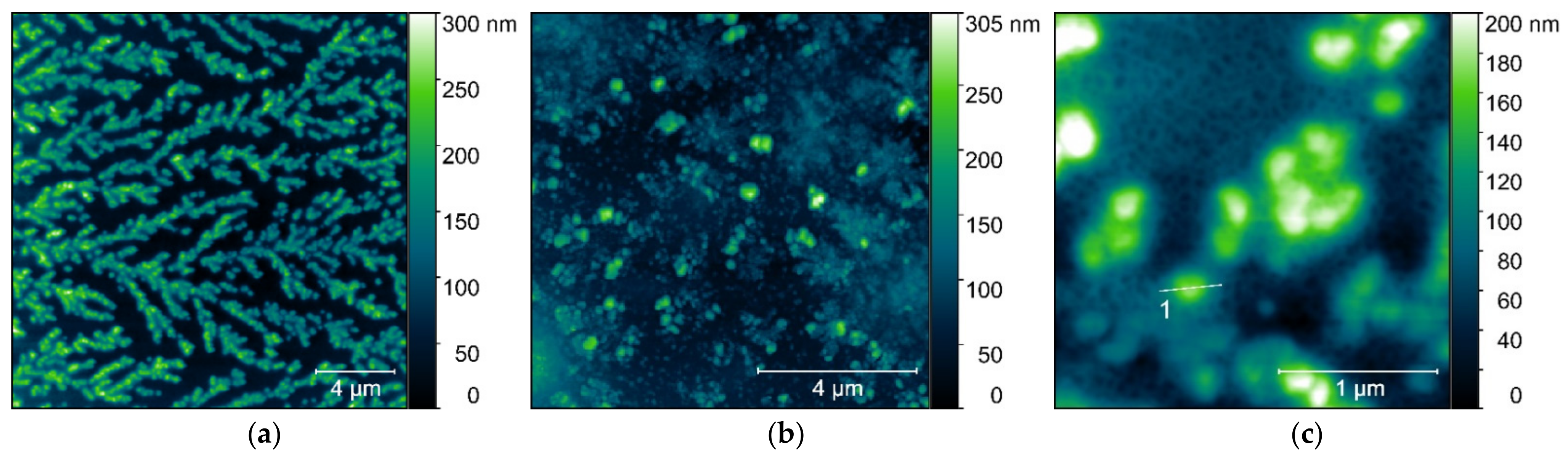 Ijms 22 07744 g012 550