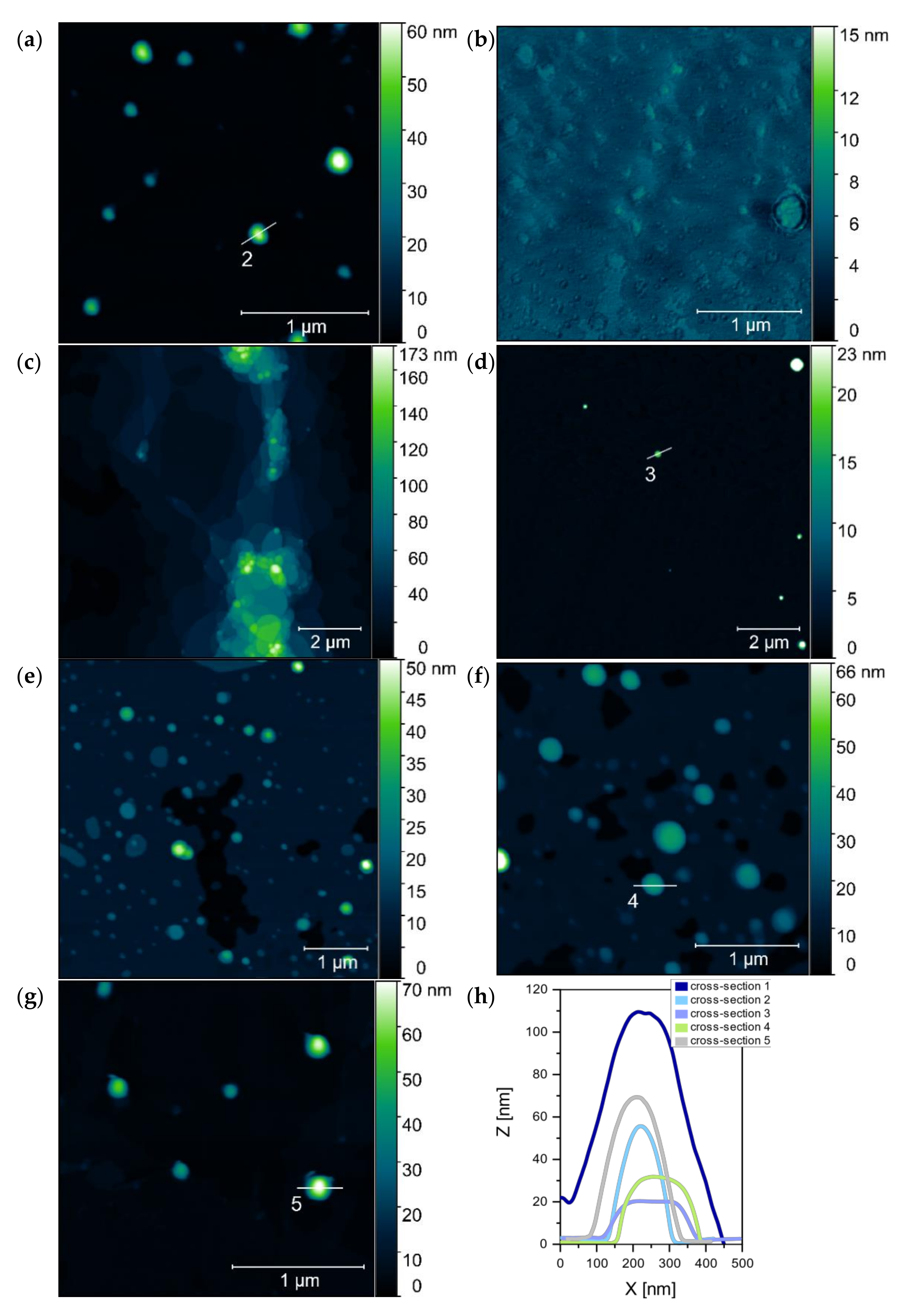 Ijms 22 07744 g013 550