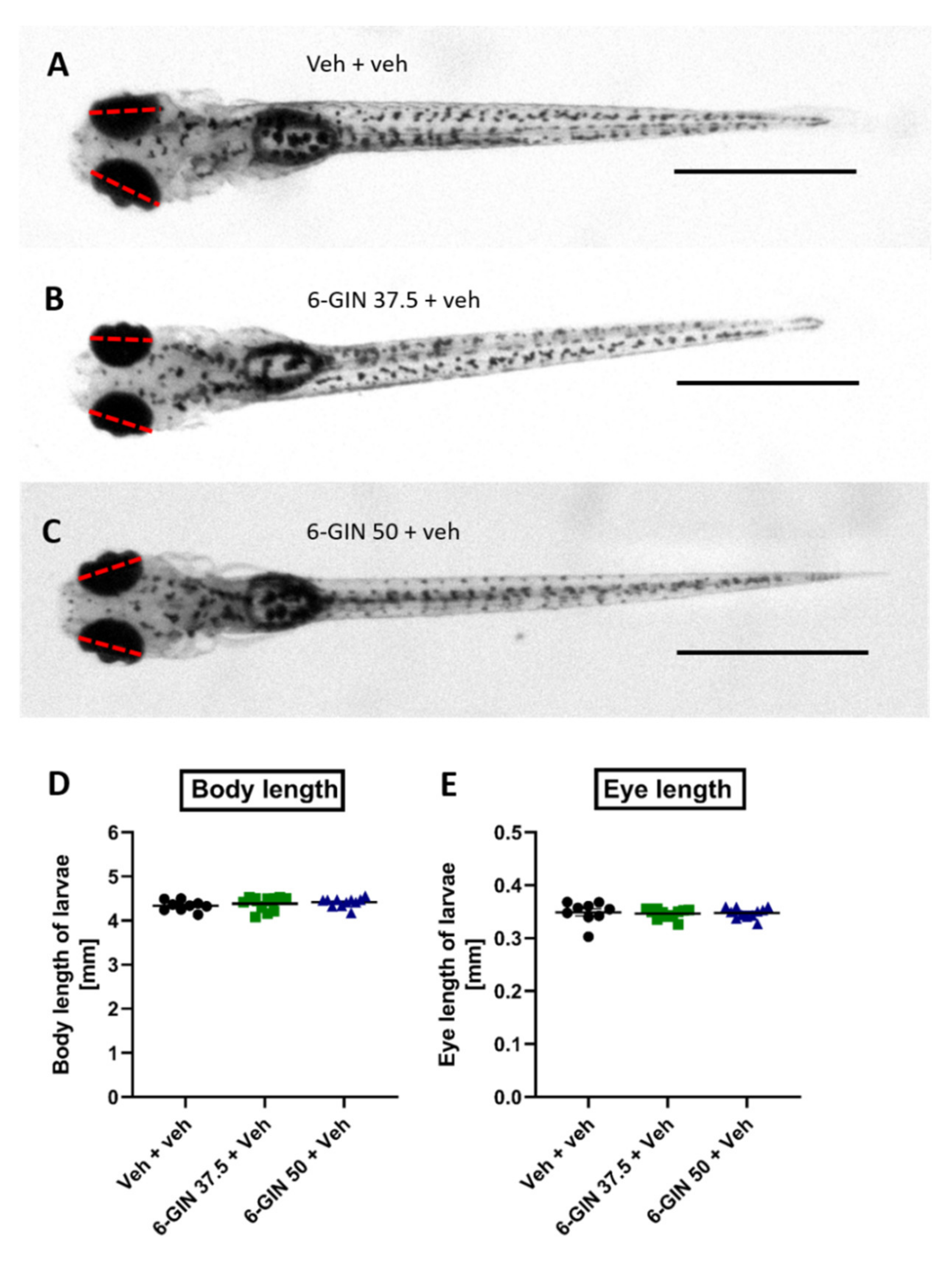 Ijms 22 07745 g003 Ijms 22 07745 g003
