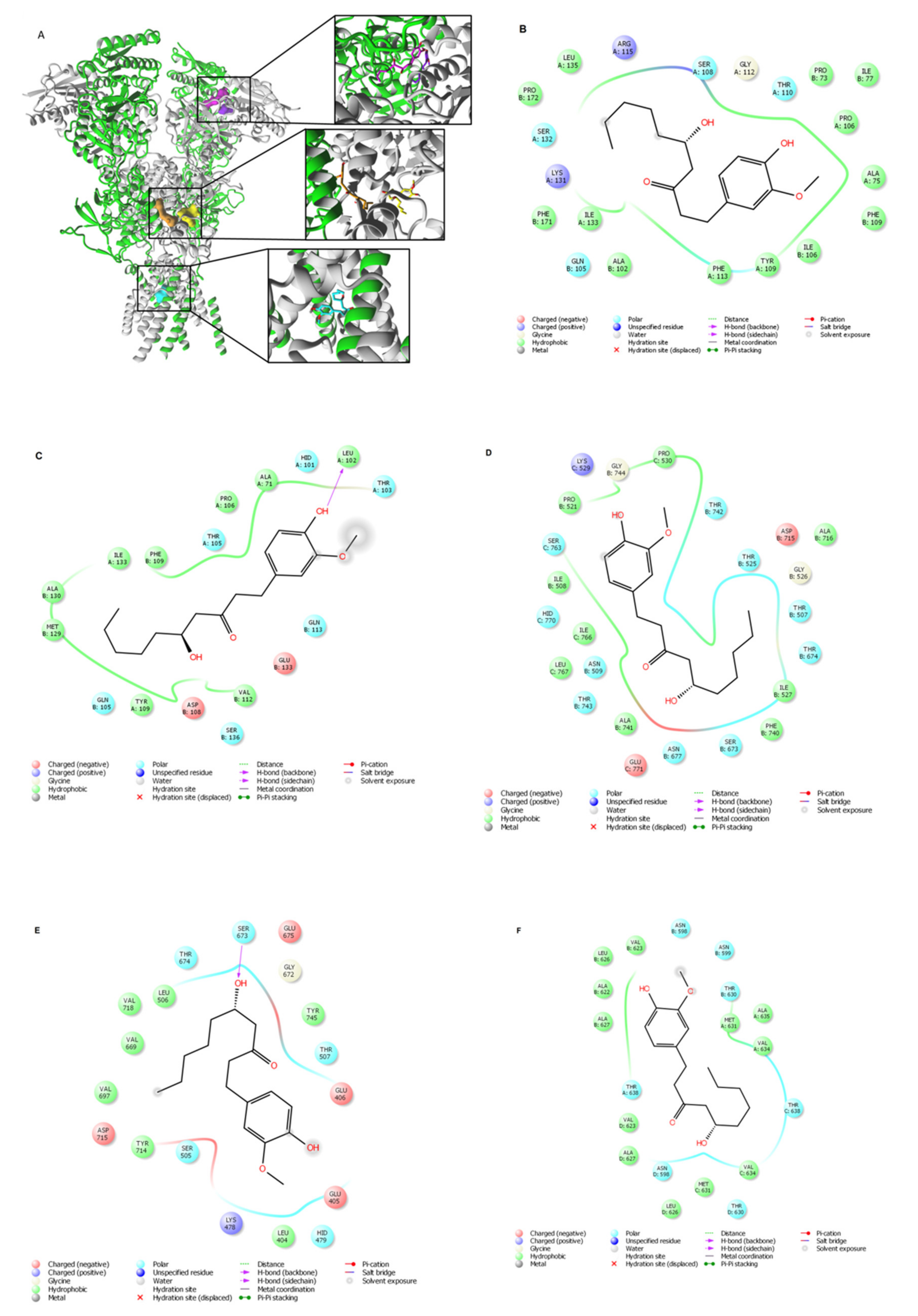 Ijms 22 07745 g008 Ijms 22 07745 g008