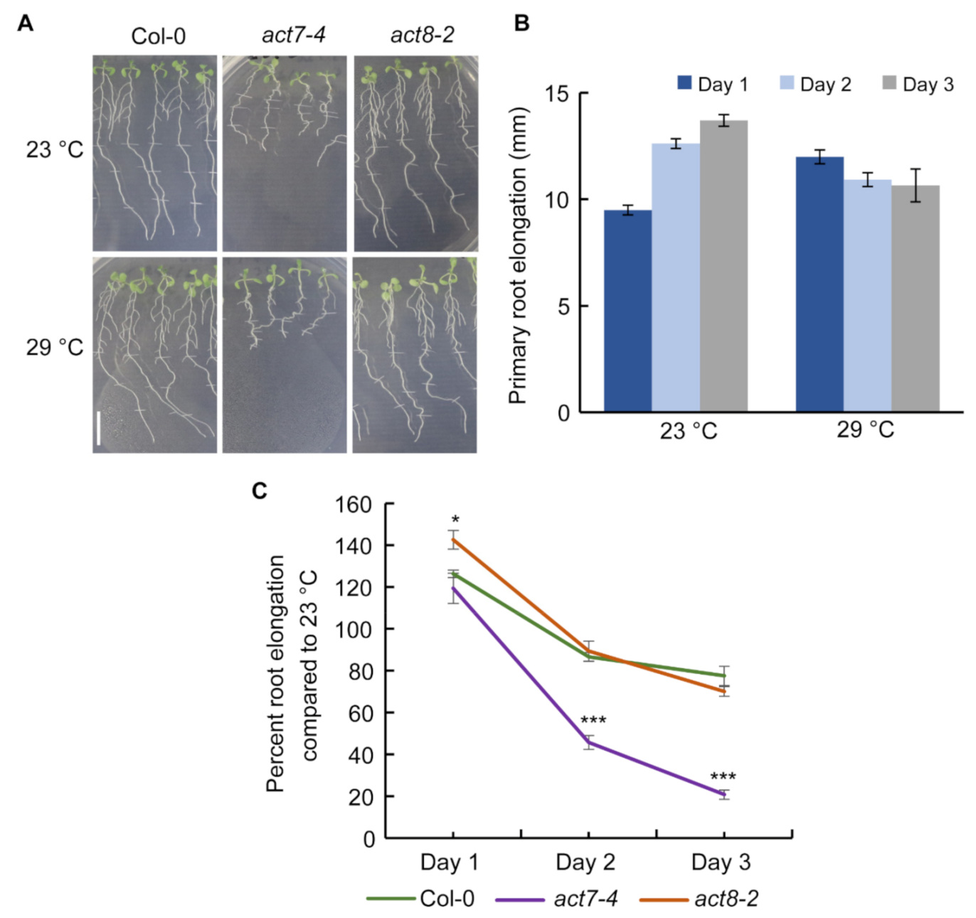 Ijms 22 07749 g001 550