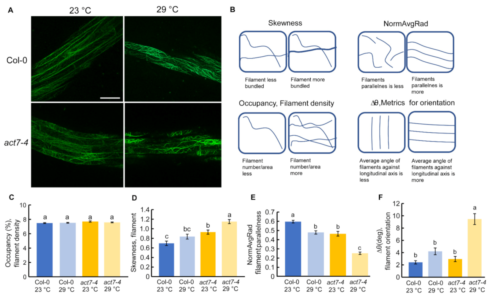 Ijms 22 07749 g002 550