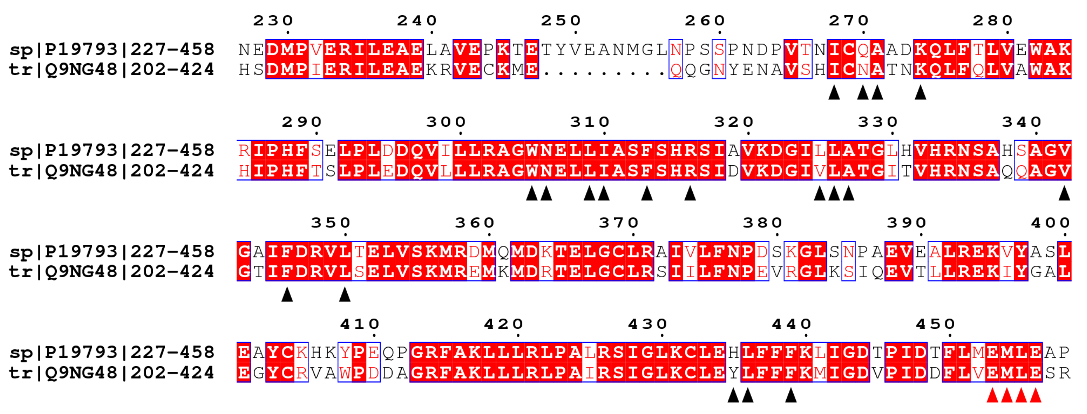 Ijms 22 07751 g001 Ijms 22 07751 g001