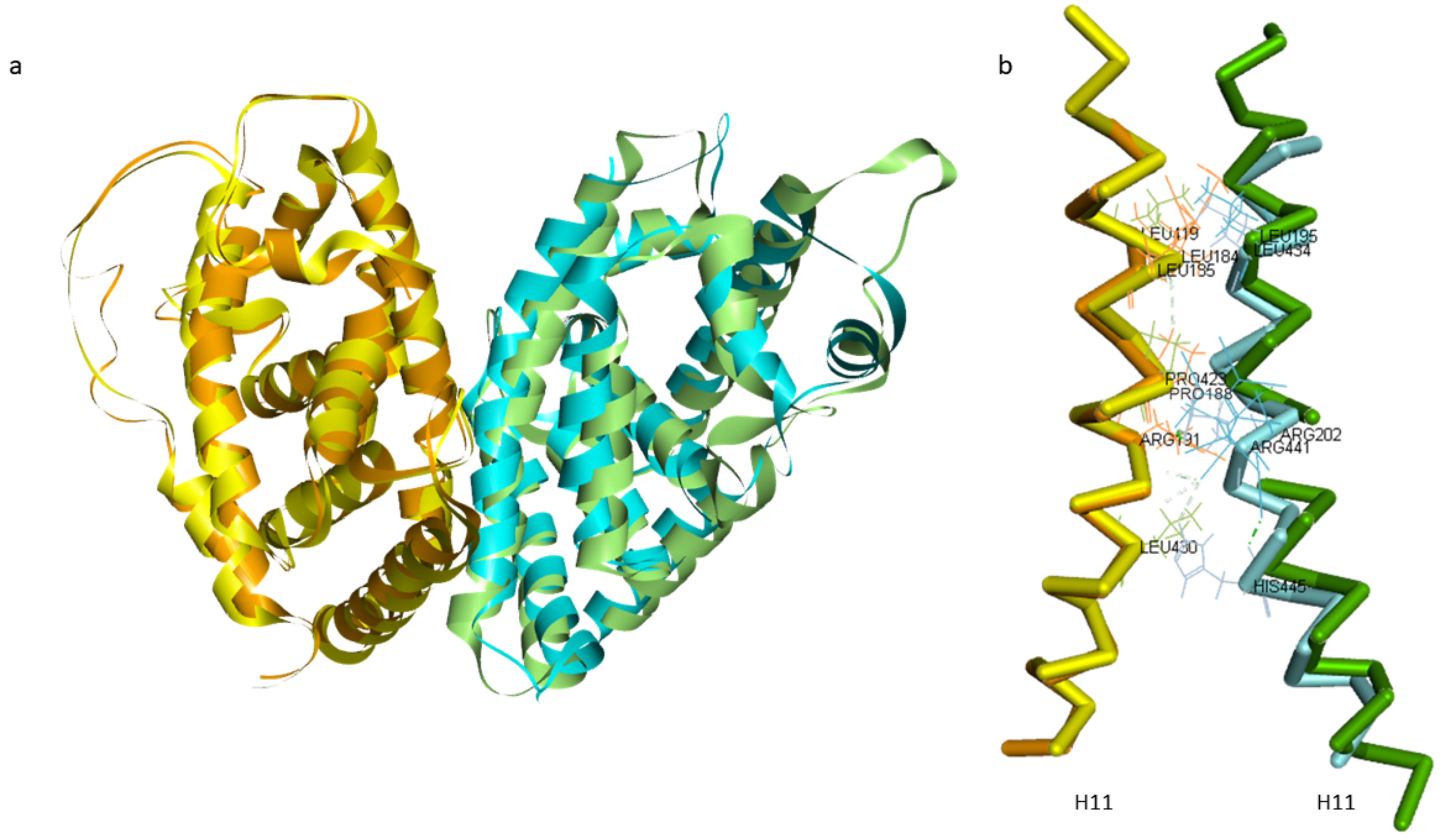 Ijms 22 07751 g003 Ijms 22 07751 g003