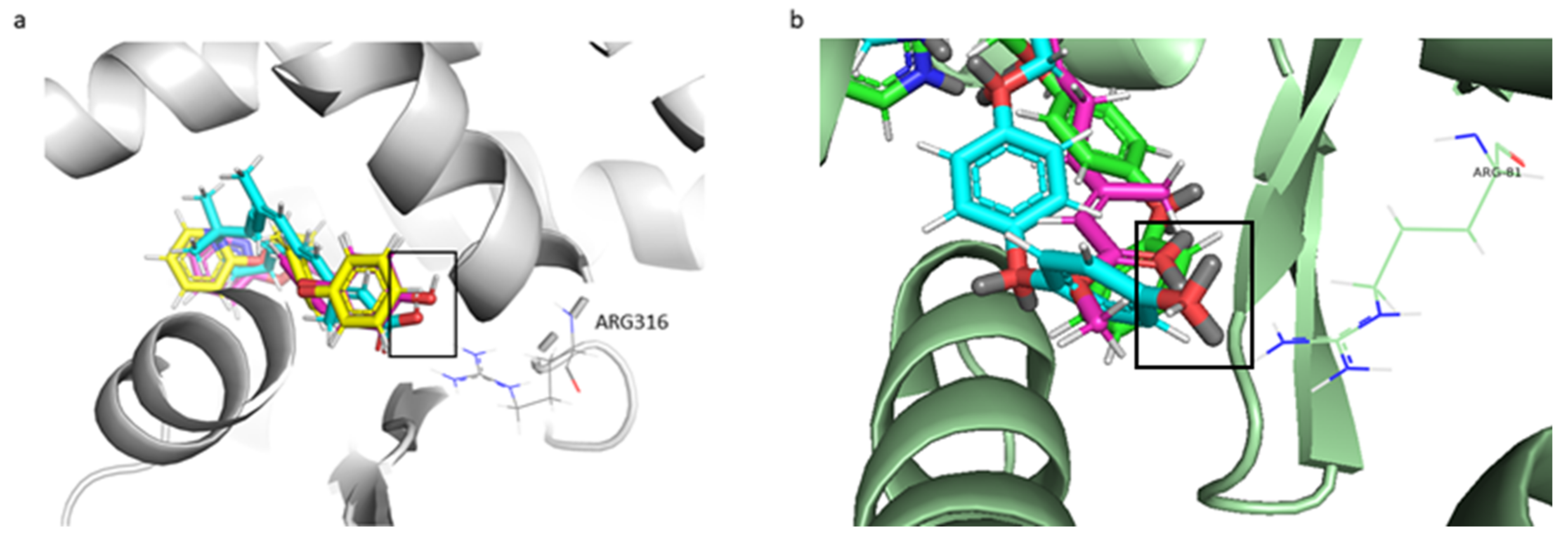Ijms 22 07751 g004 Ijms 22 07751 g004