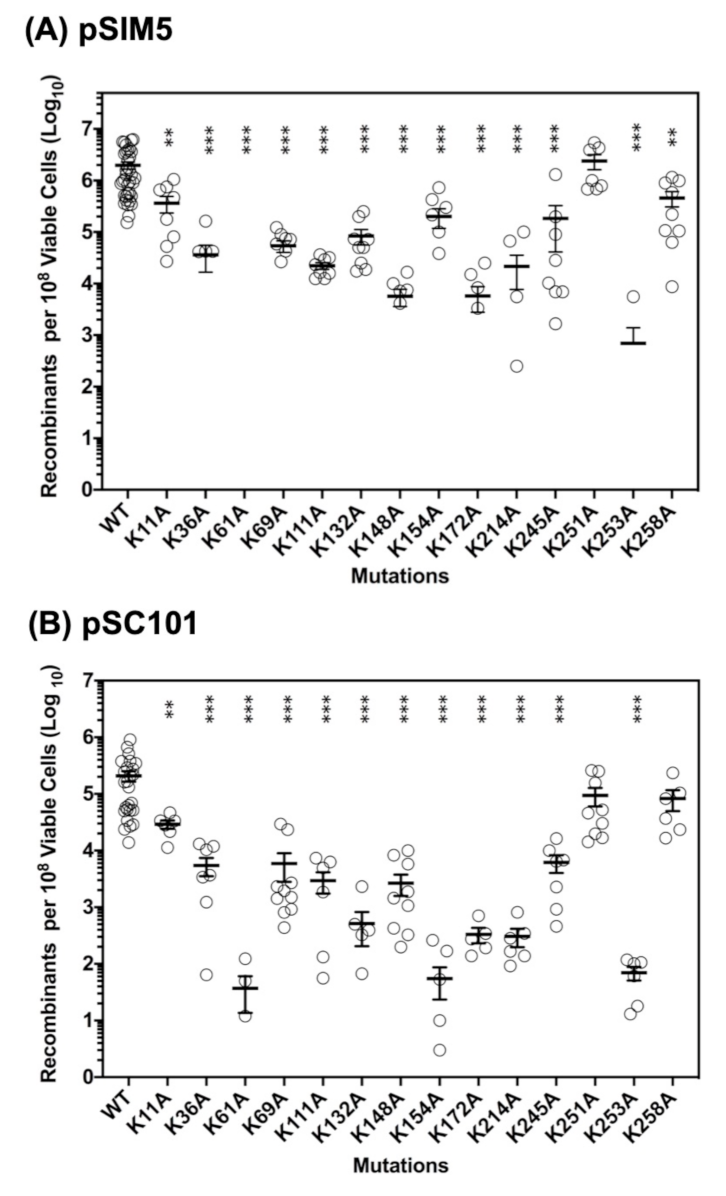 Ijms 22 07758 g002 Ijms 22 07758 g002